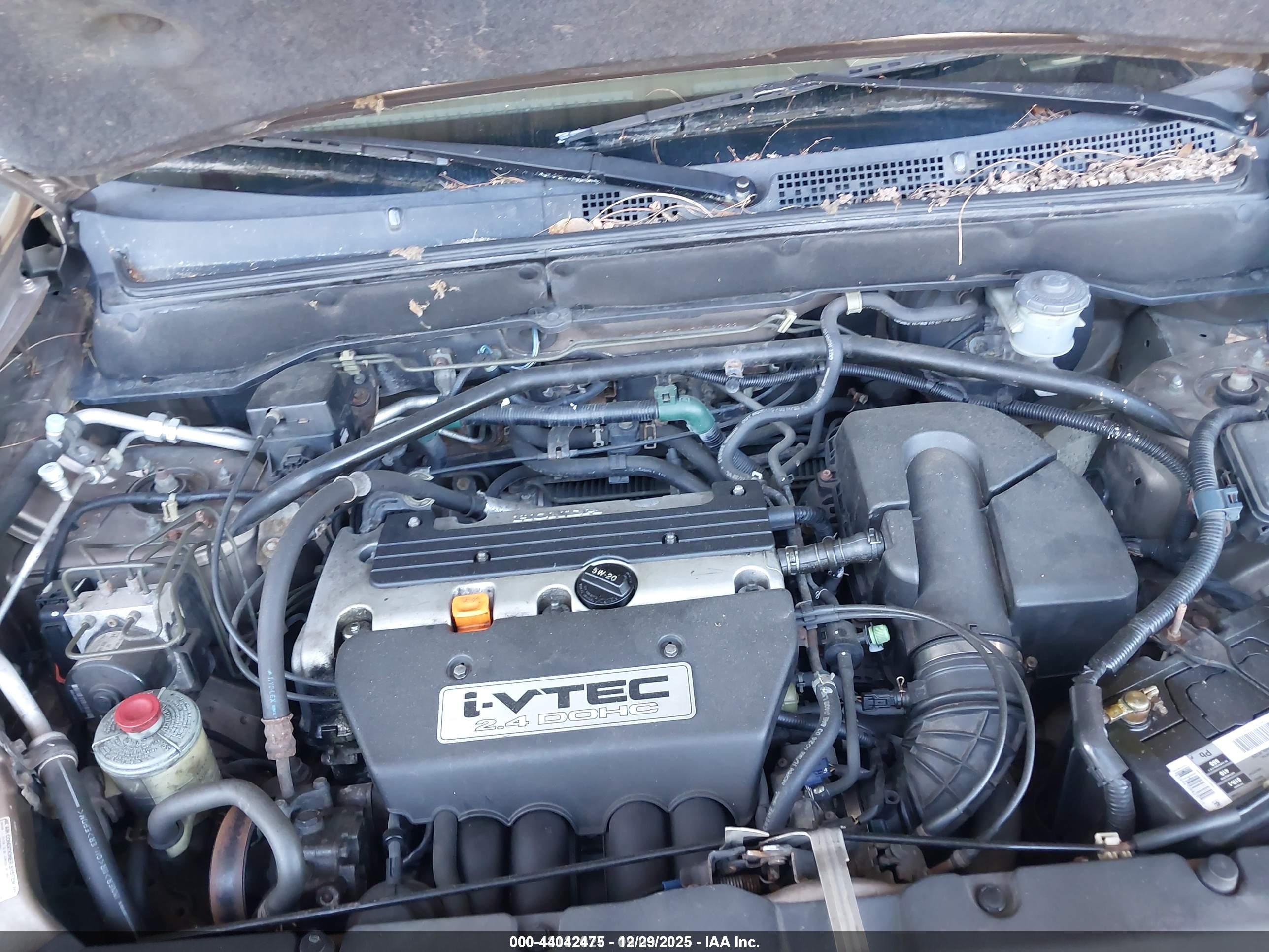 HONDA CR-V image 6