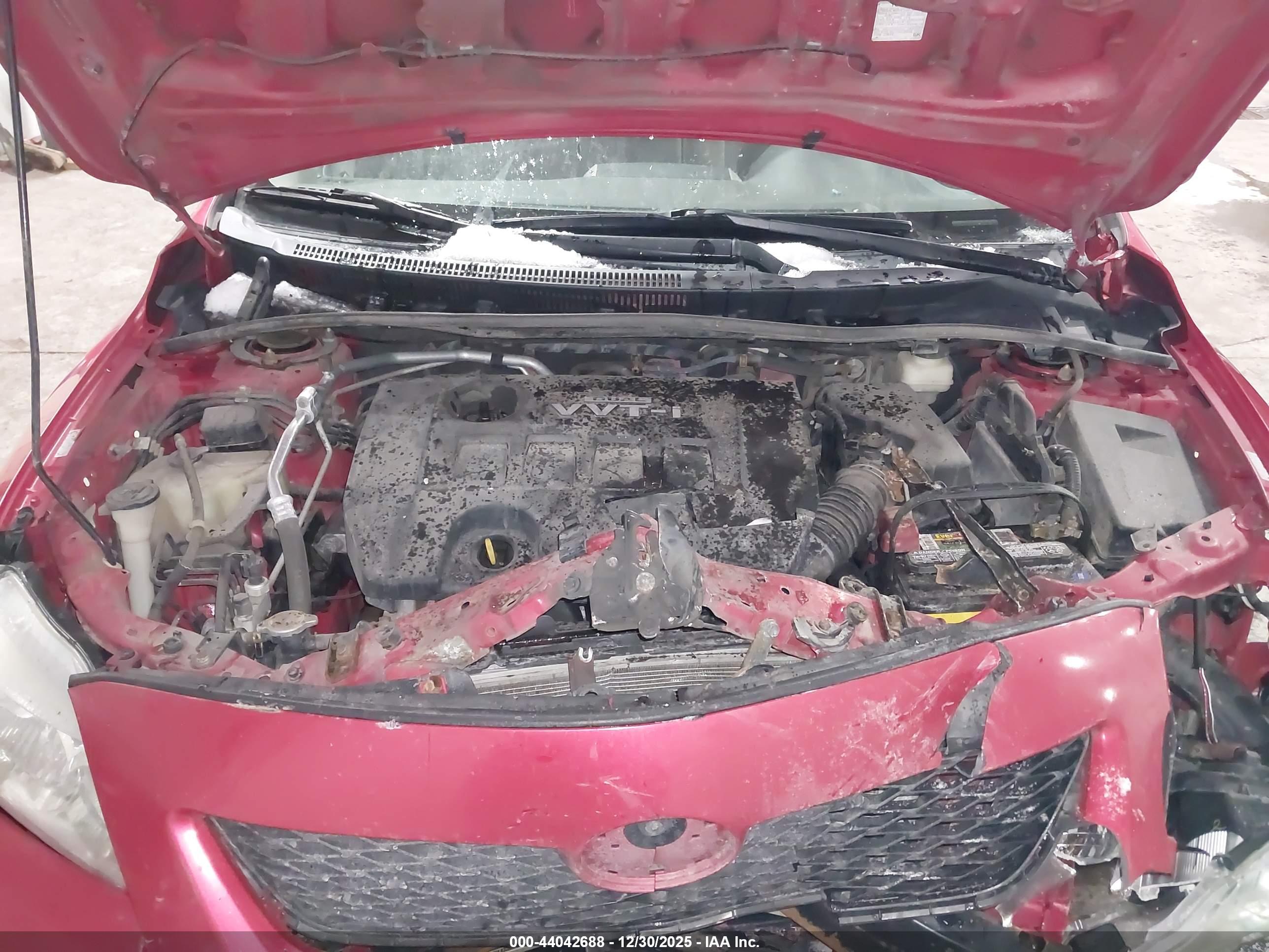 TOYOTA COROLLA image 10