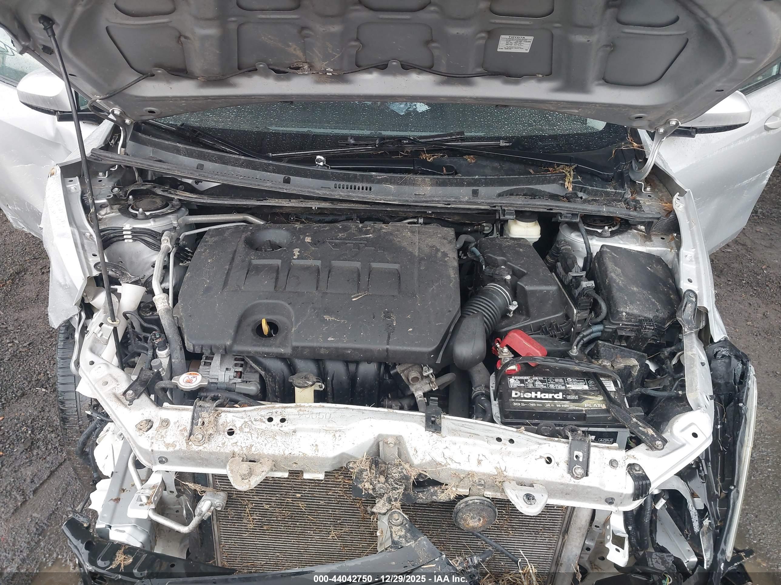 TOYOTA COROLLA image 10