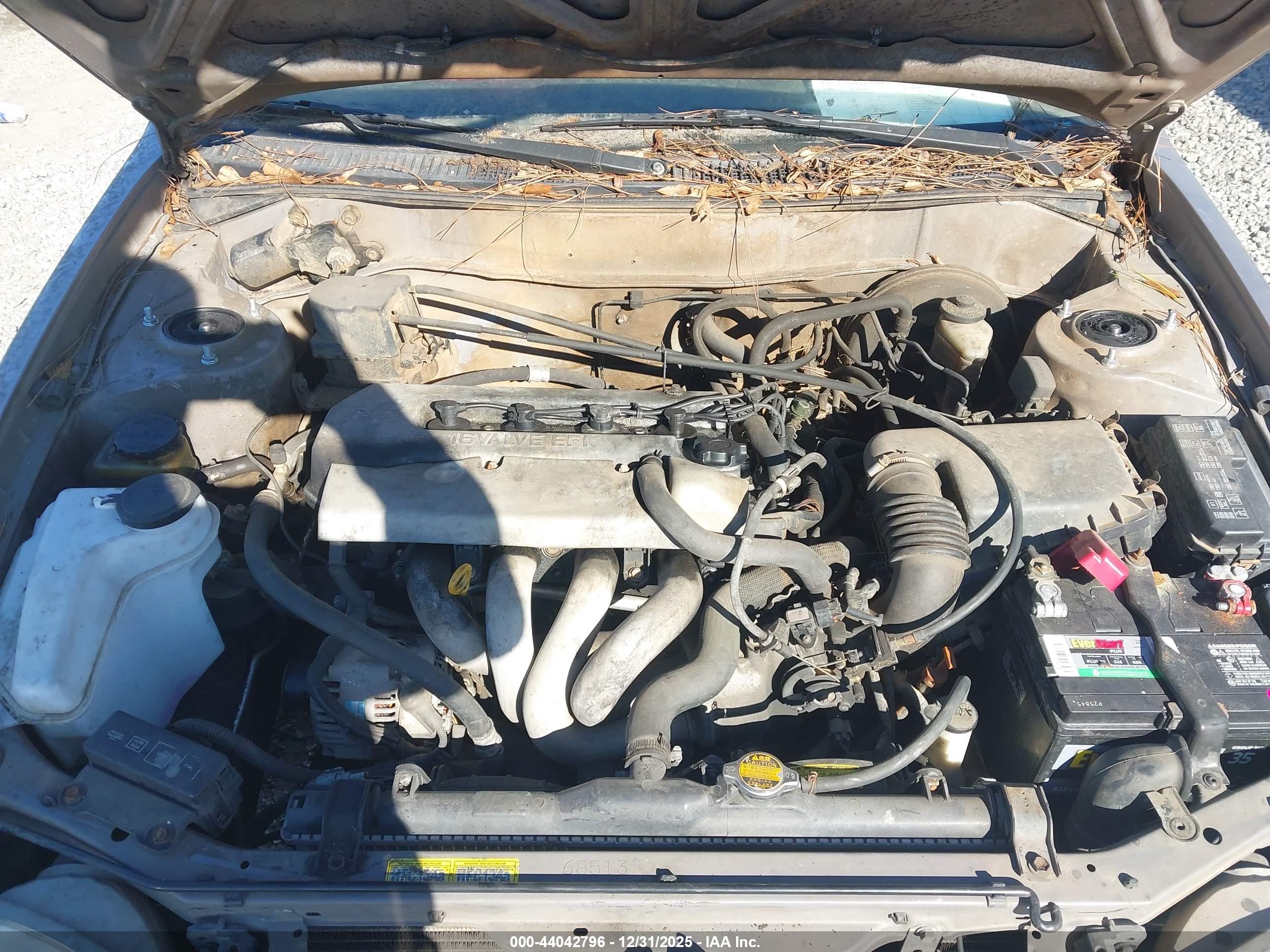 TOYOTA COROLLA image 10