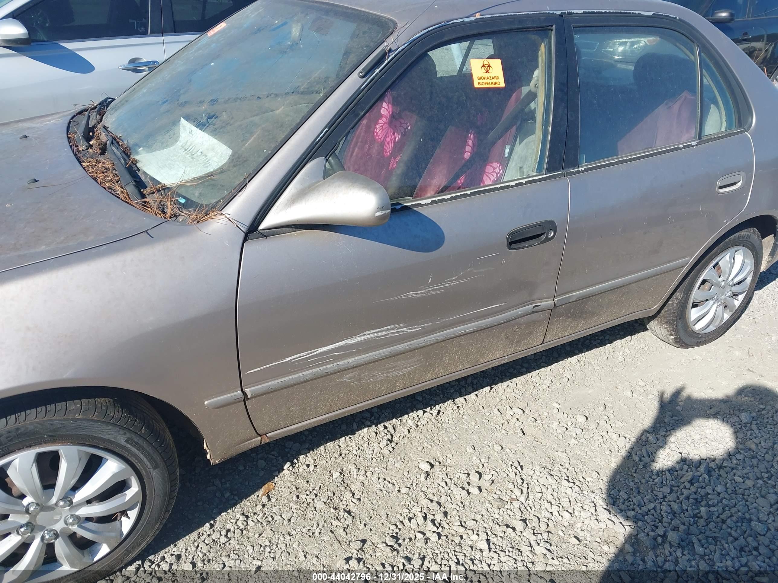 TOYOTA COROLLA image 6