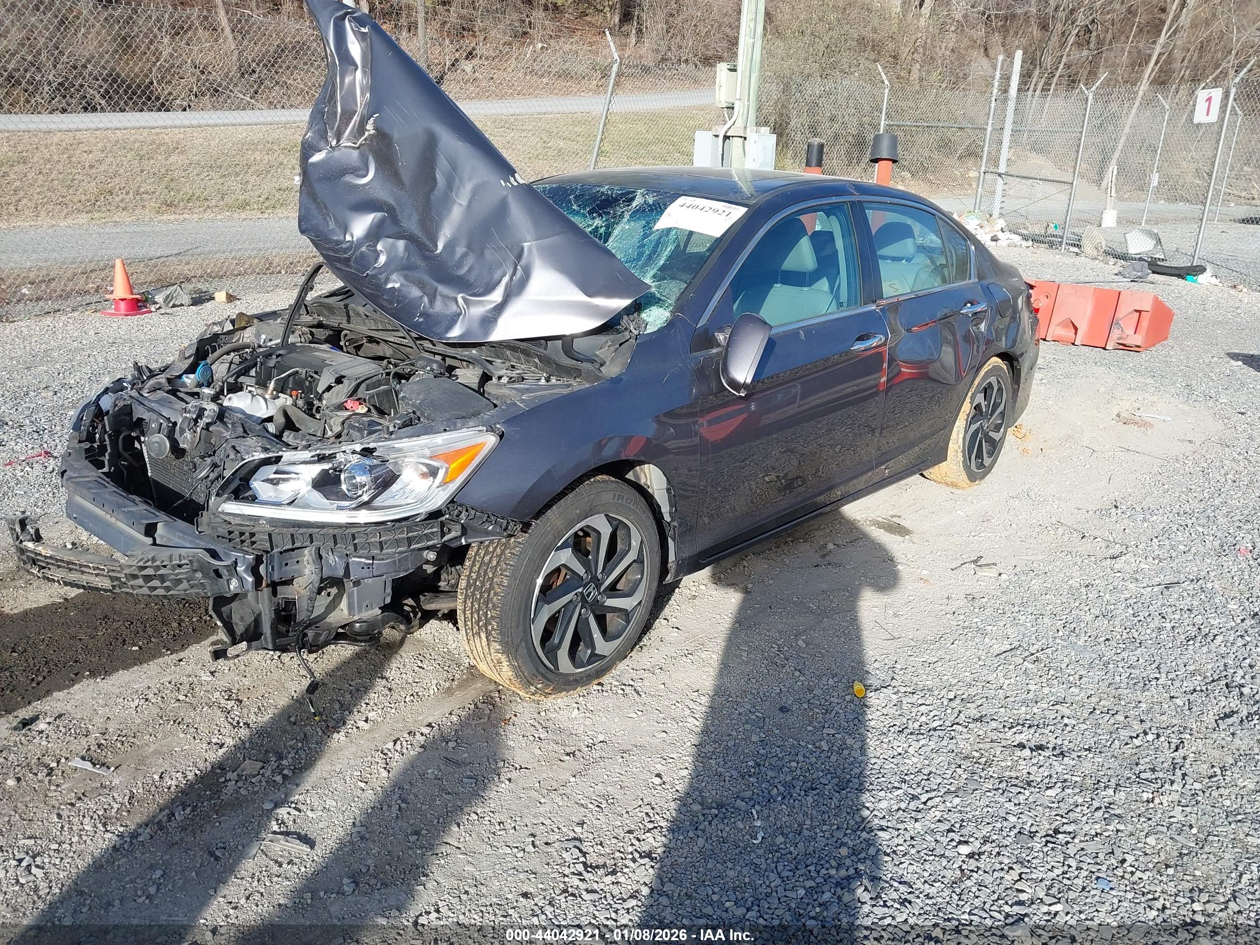 HONDA ACCORD image 2