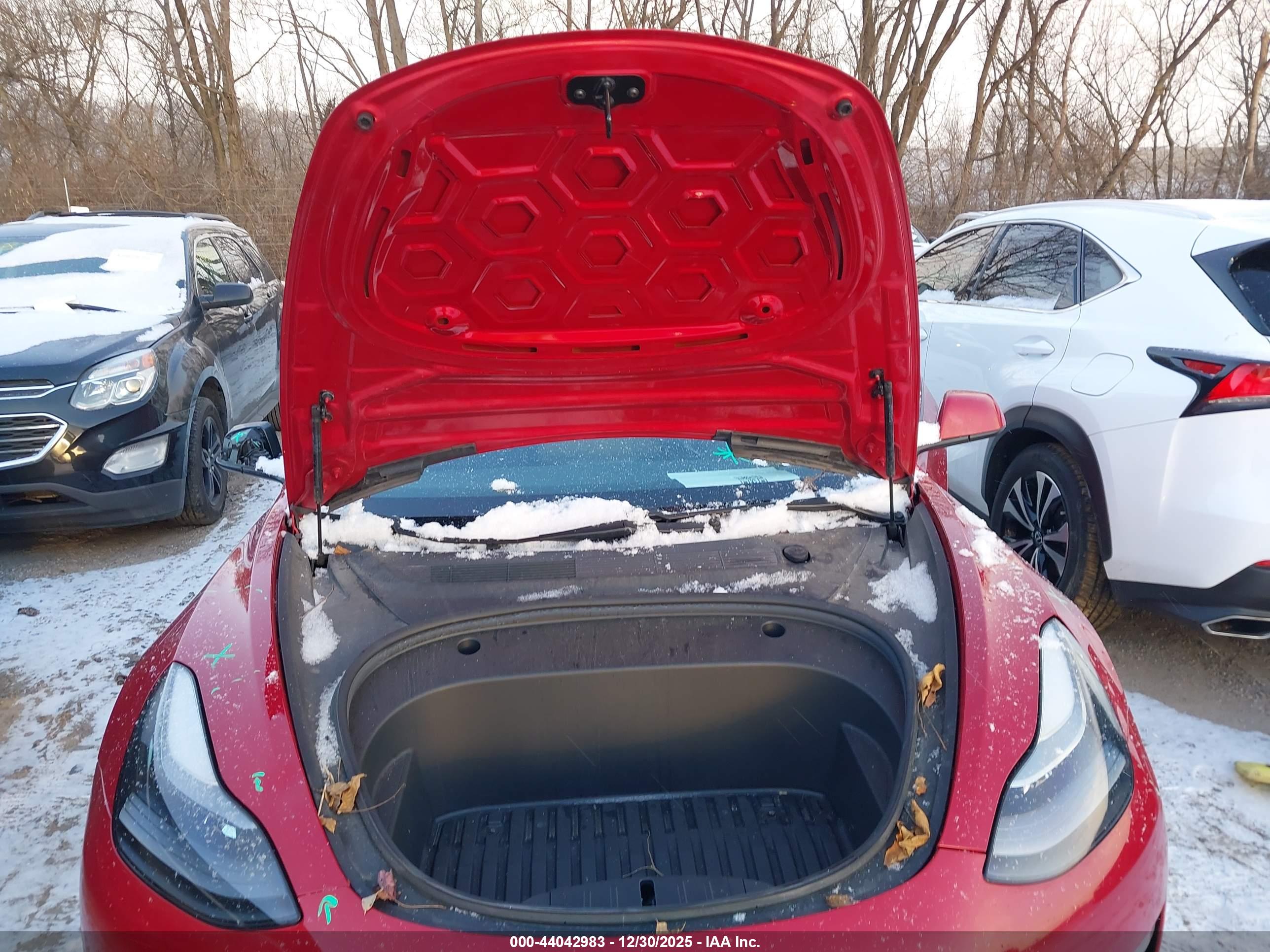 TESLA MODEL image 10