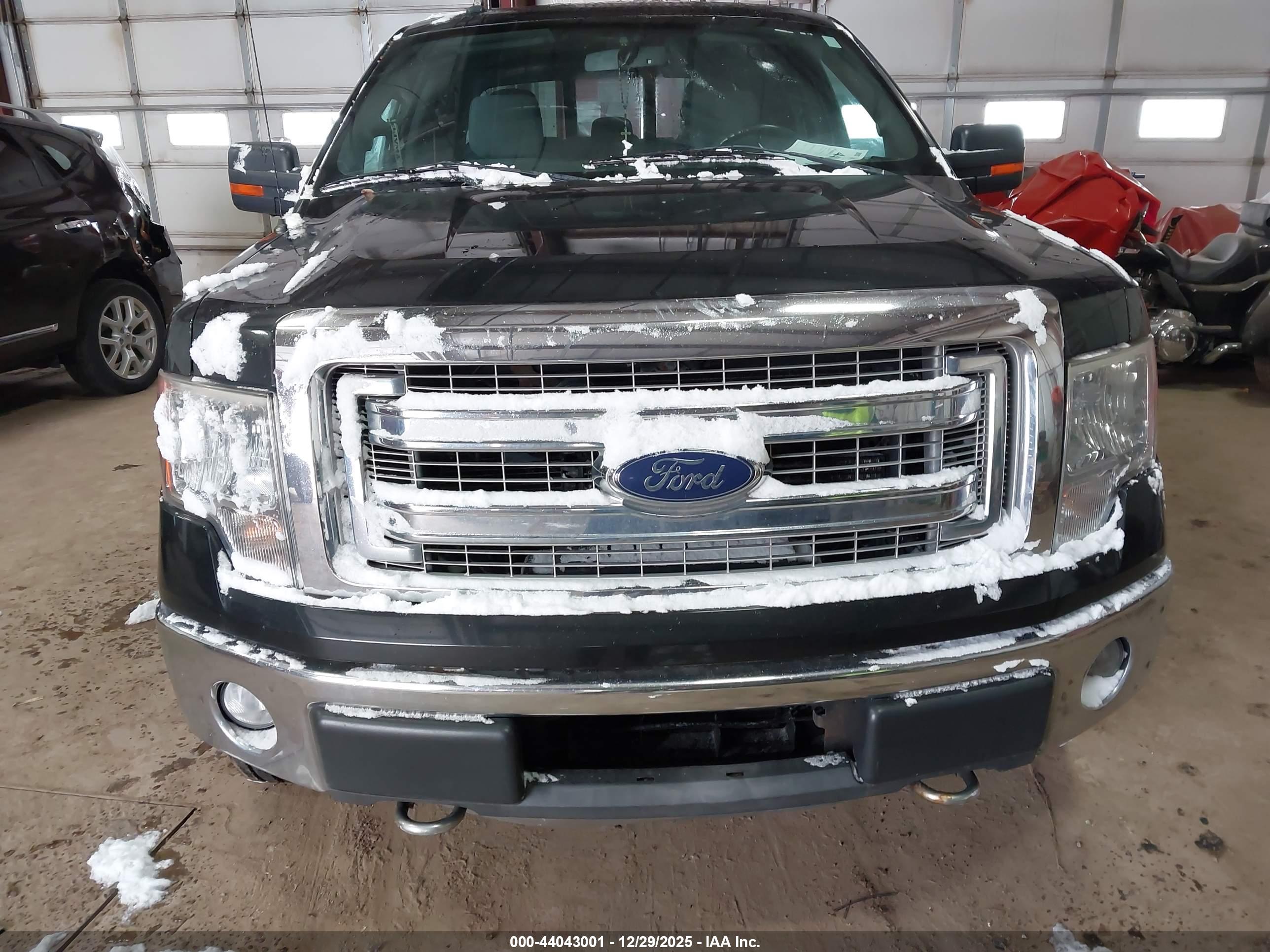 FORD F-150 image 6