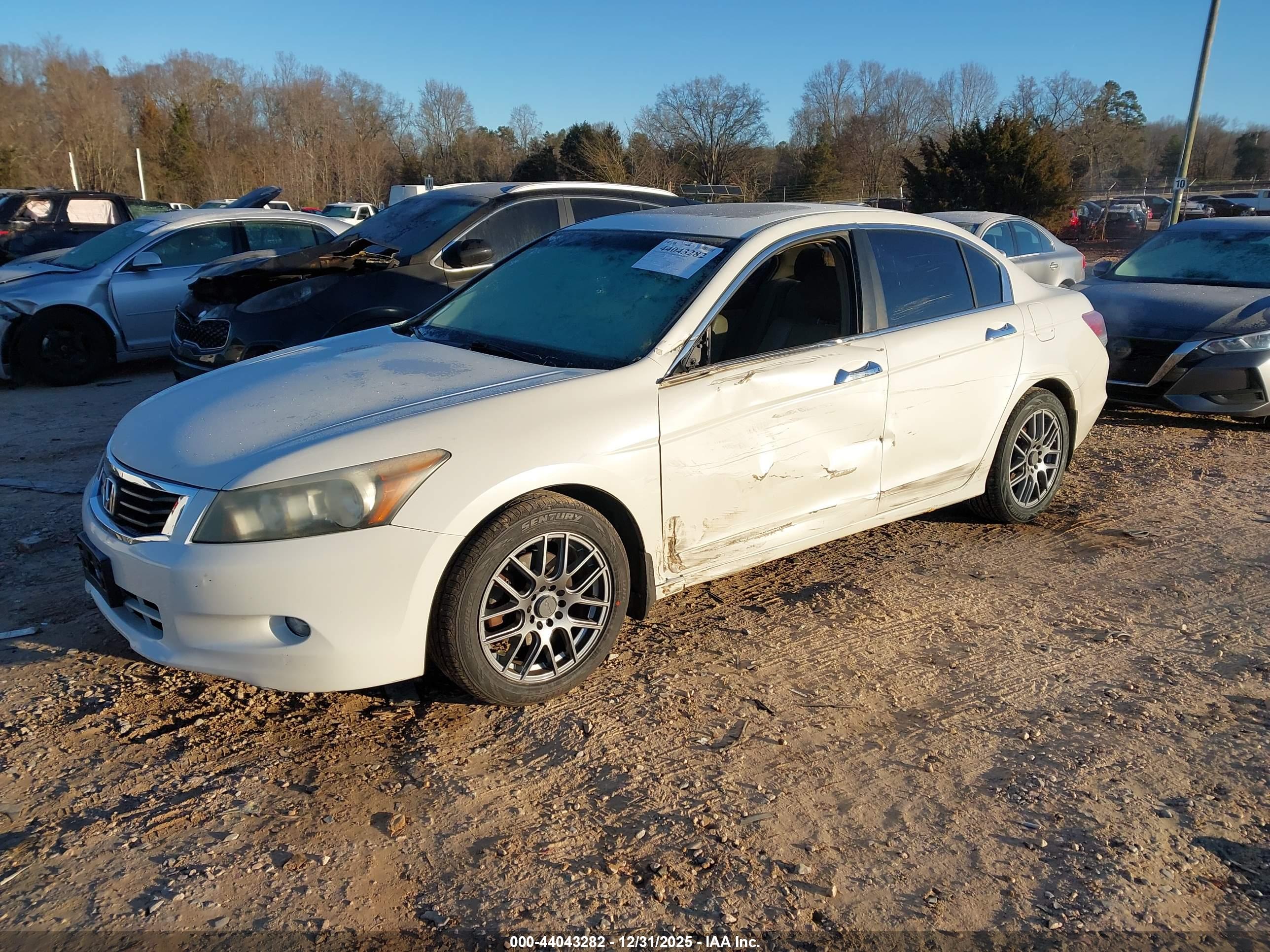 HONDA ACCORD image 2