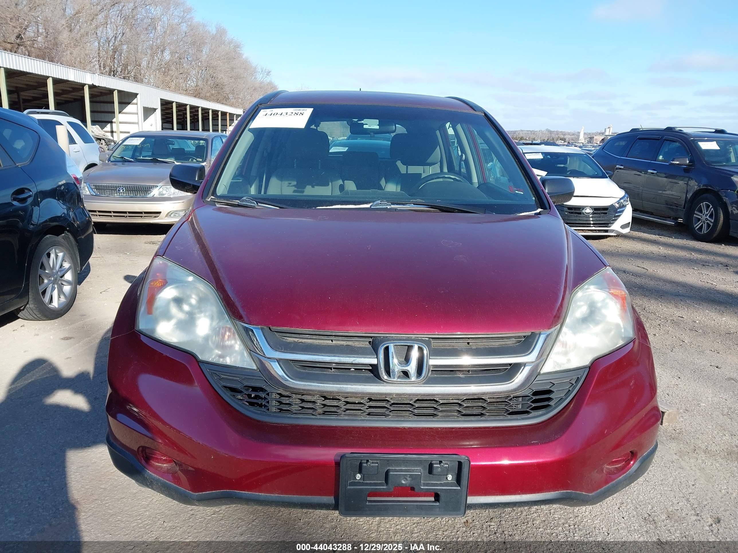 HONDA CR-V image 6