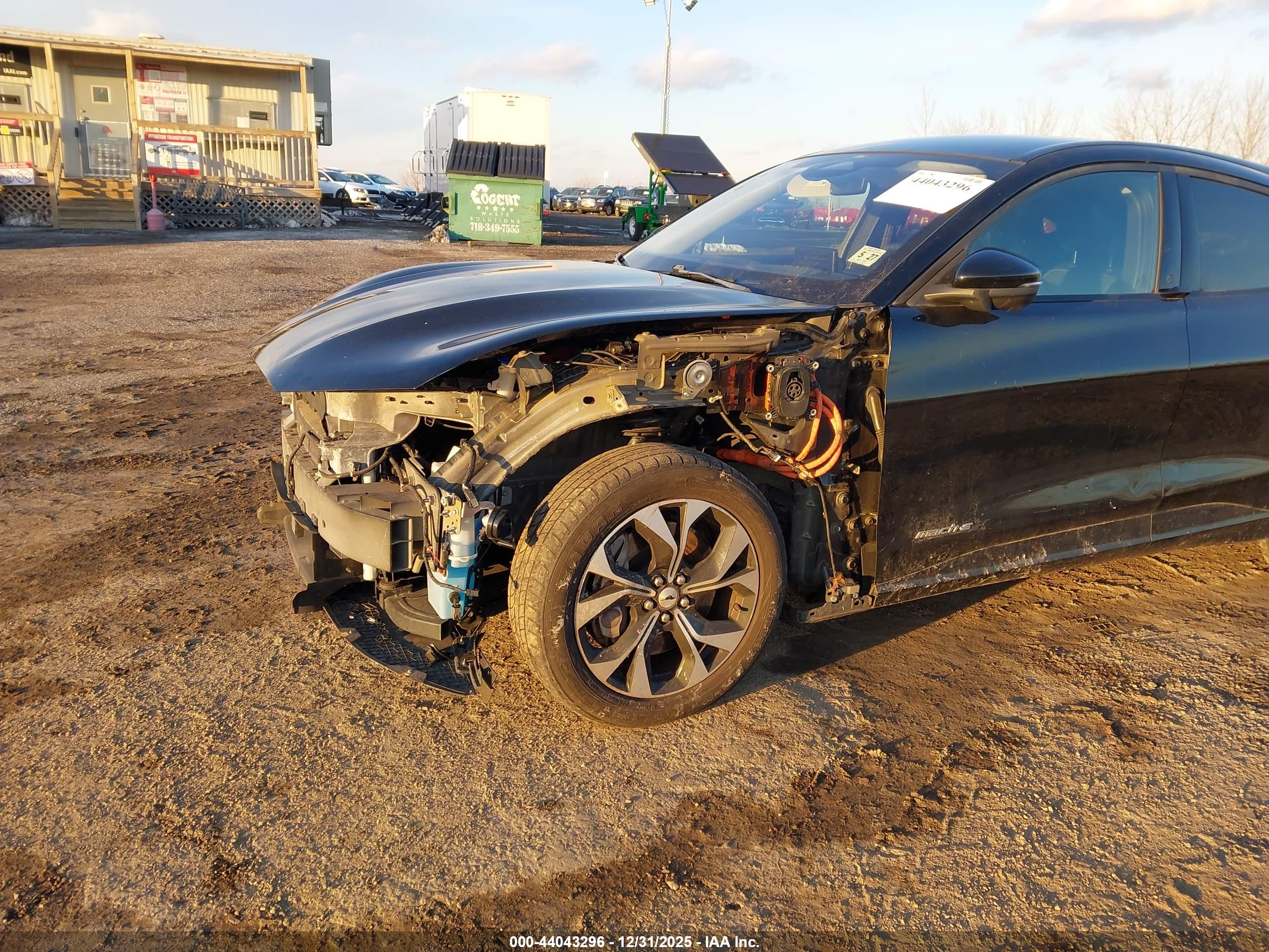 FORD MUSTANG image 6