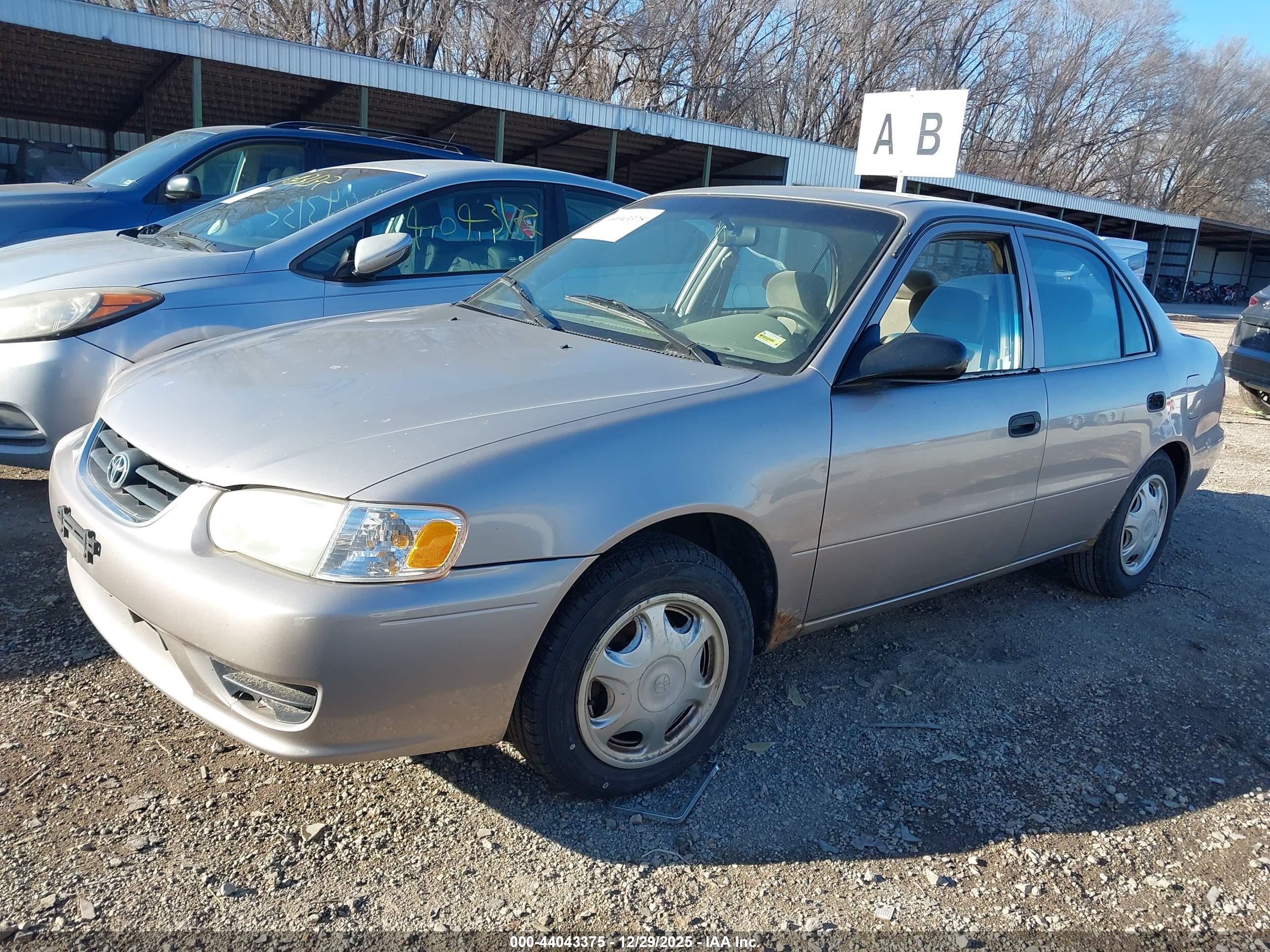TOYOTA COROLLA image 2