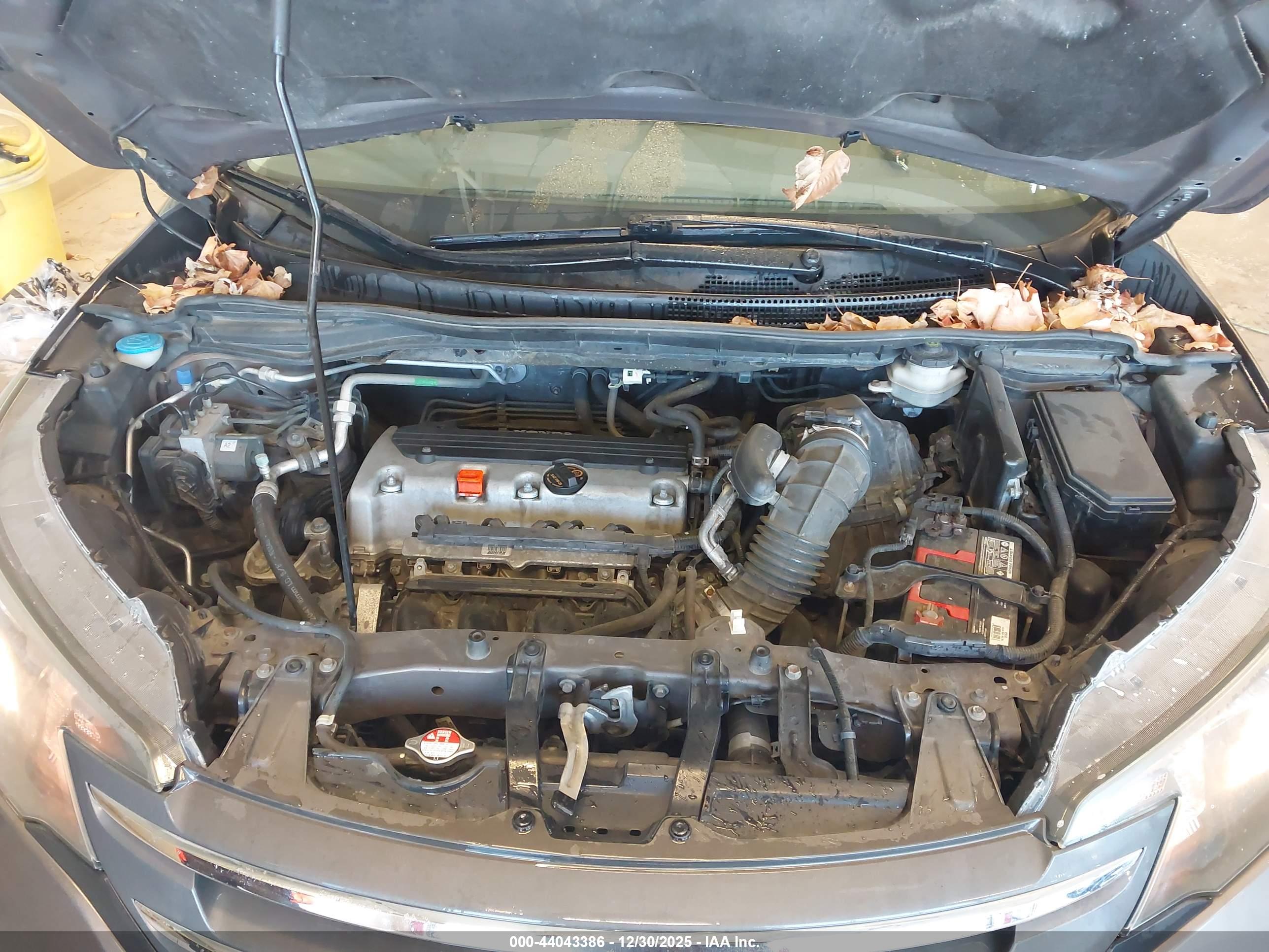 HONDA CR-V image 10