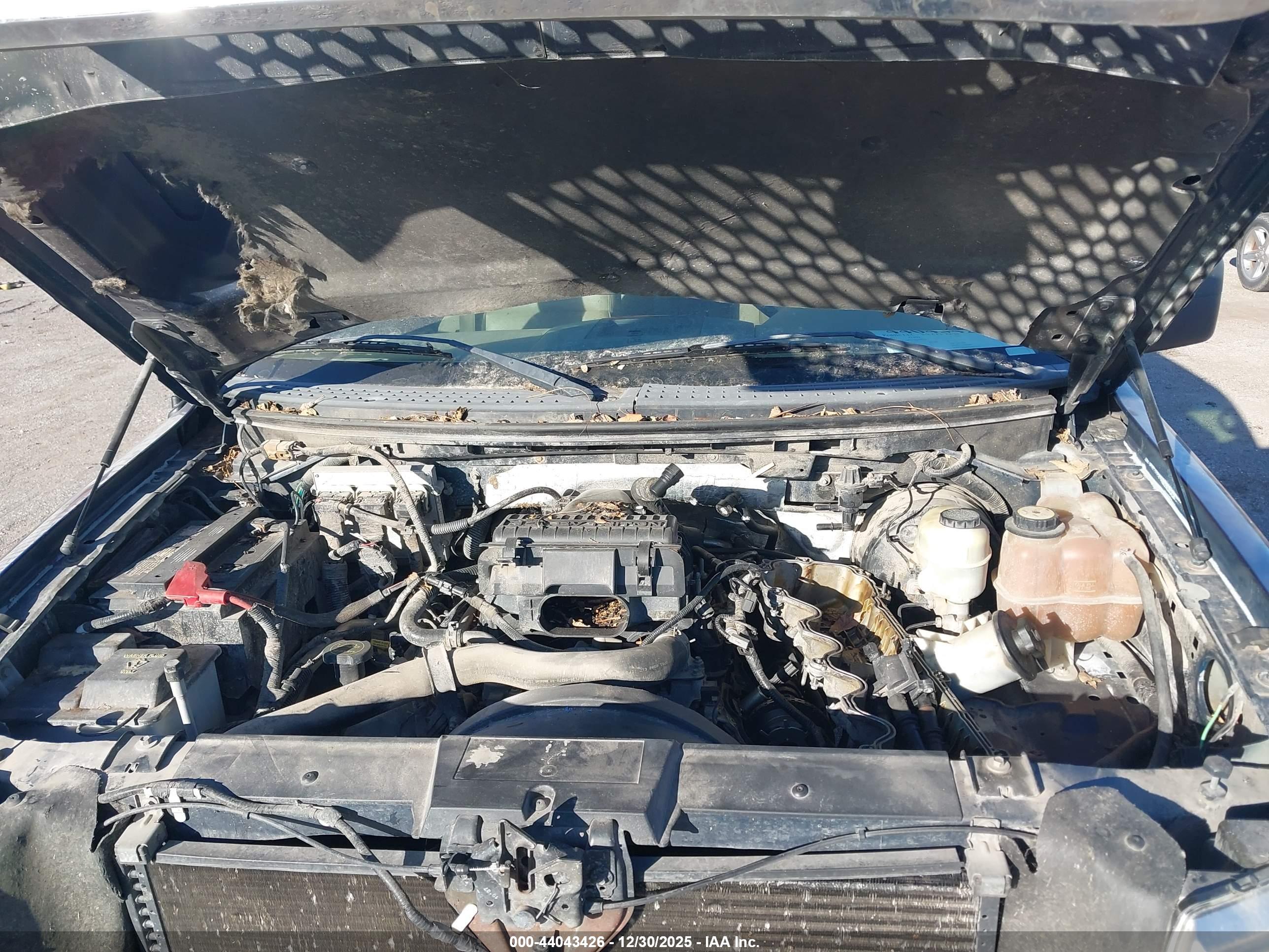 FORD F-150 image 10