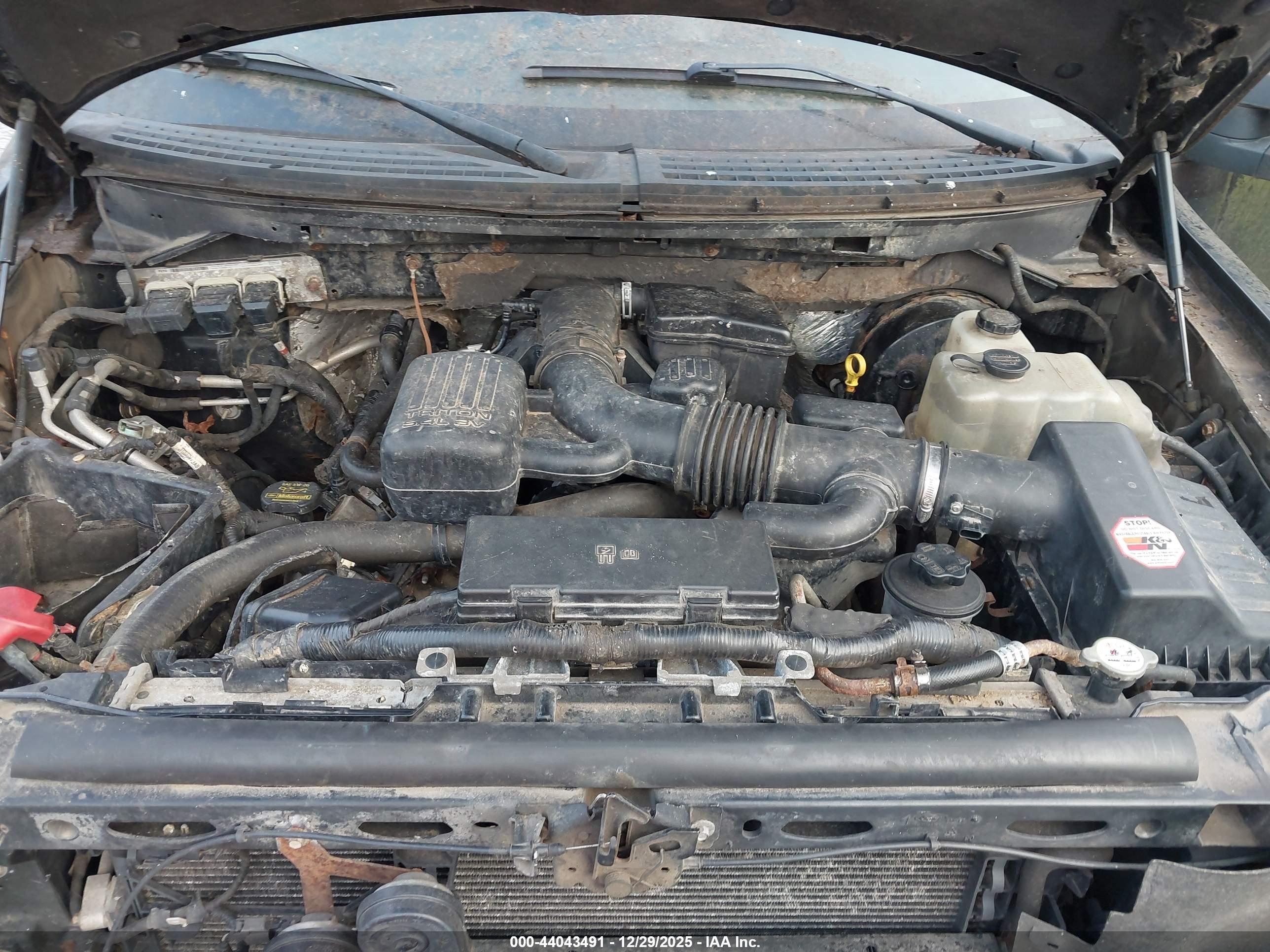 FORD F-150 image 10