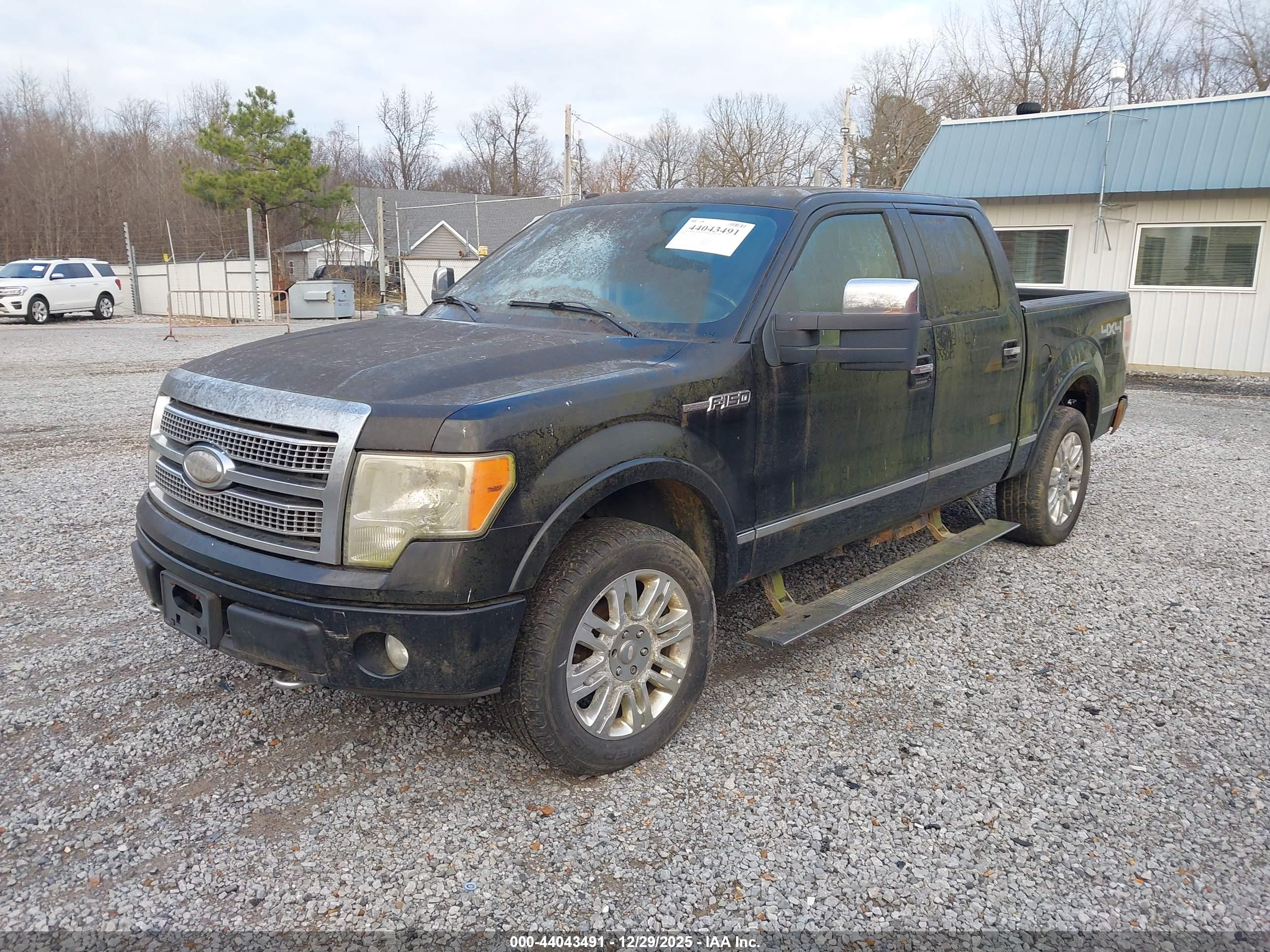 FORD F-150 image 2