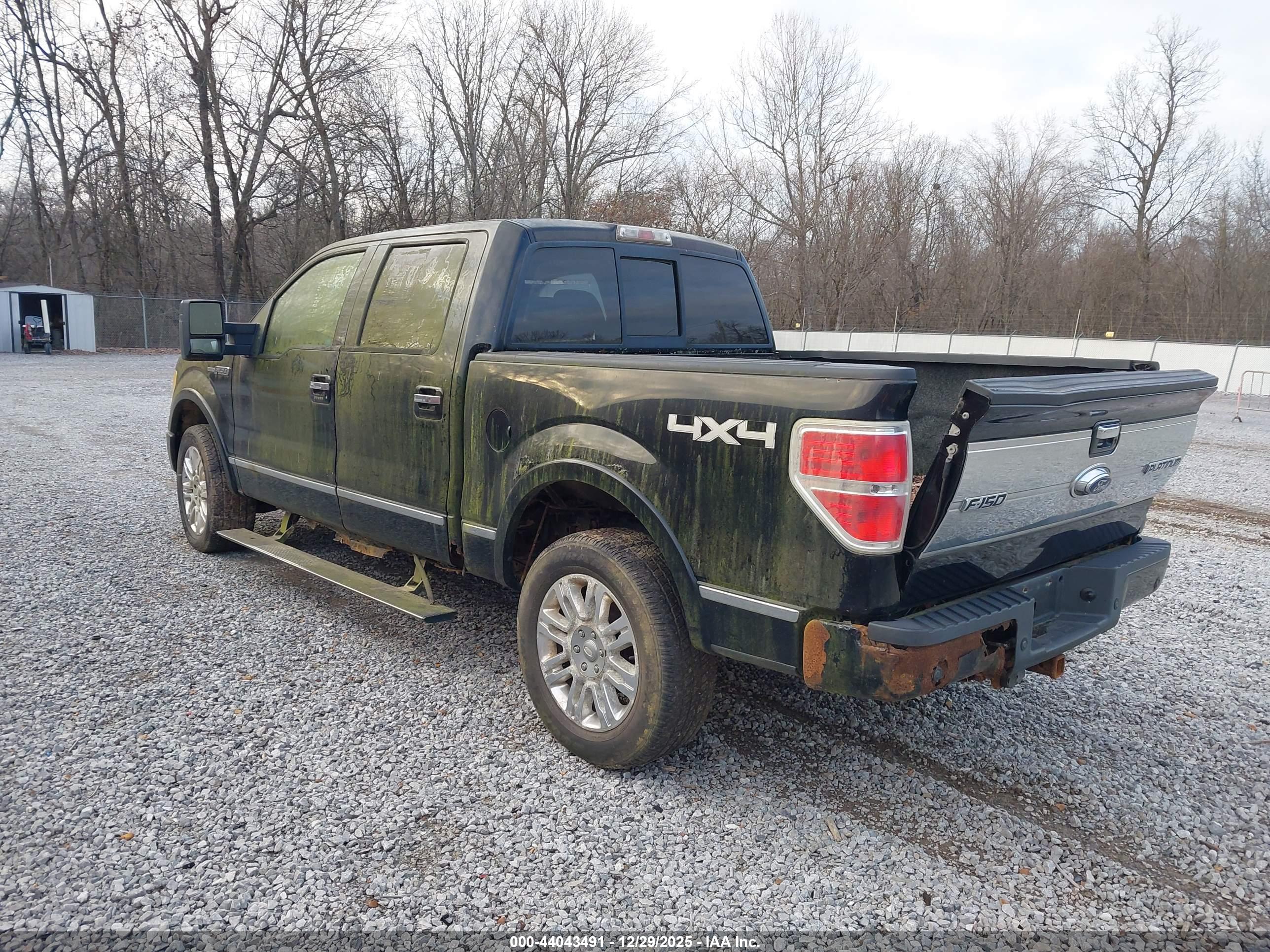 FORD F-150 image 3