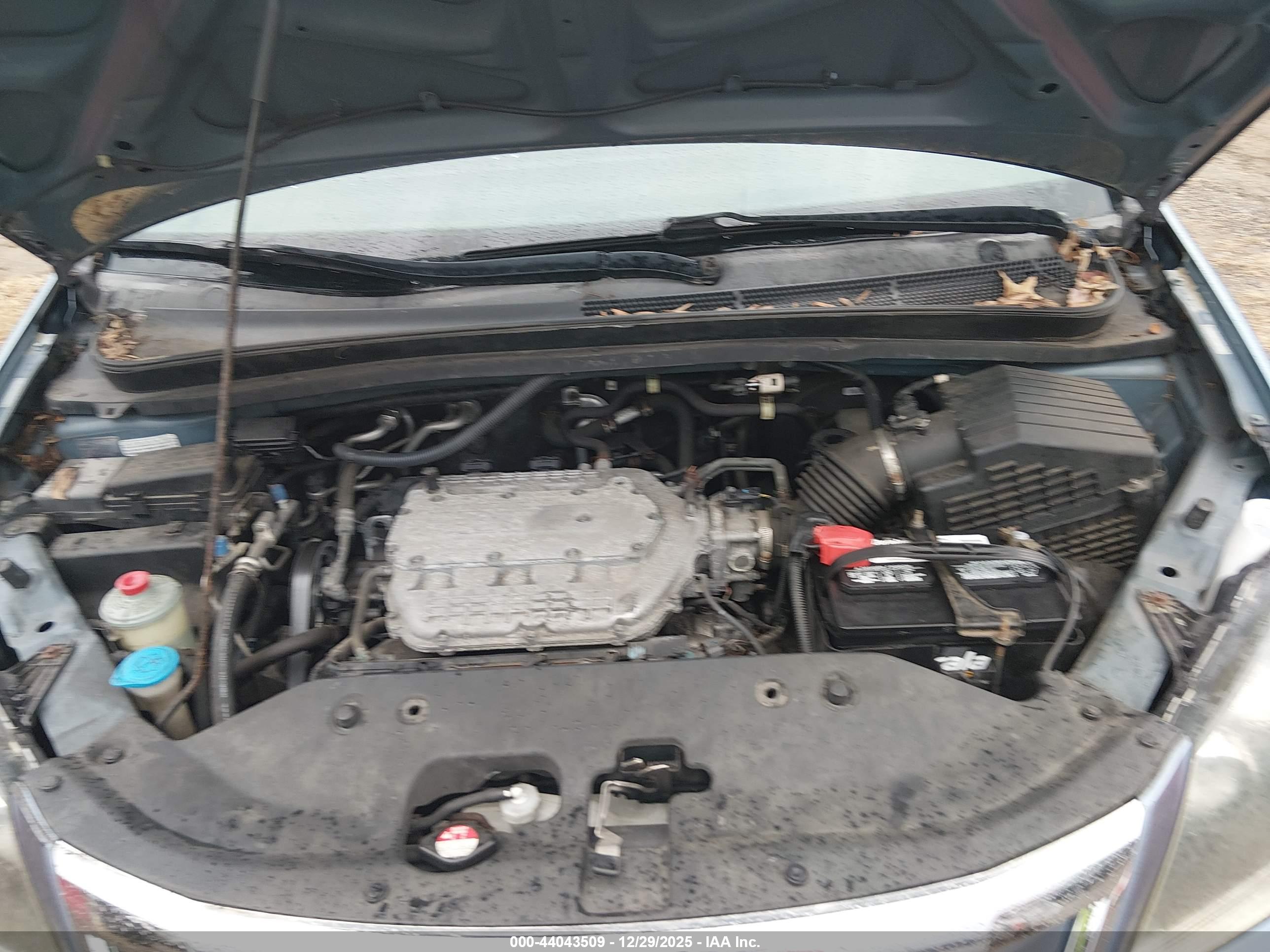 HONDA ODYSSEY image 10