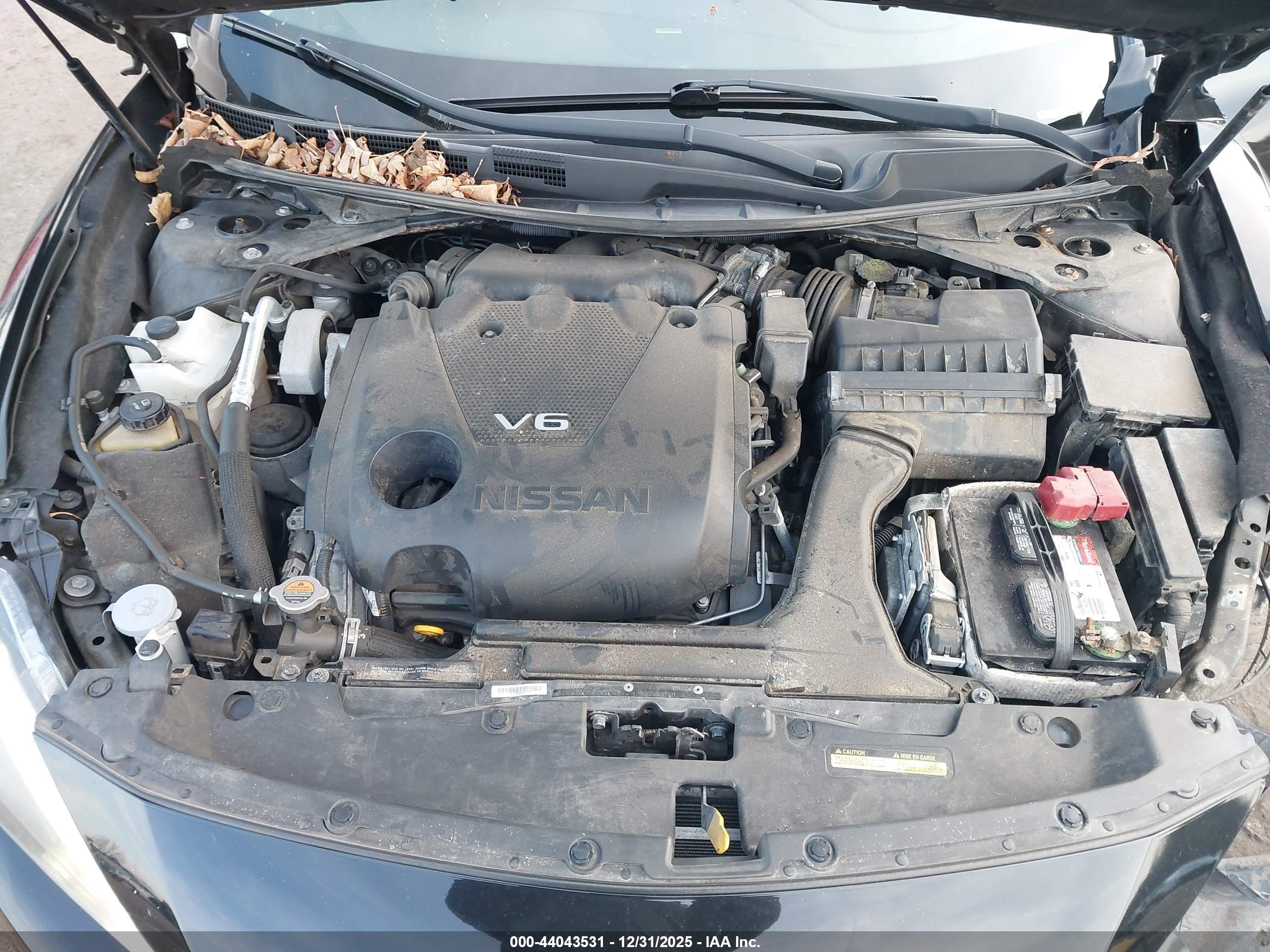 NISSAN MAXIMA image 10