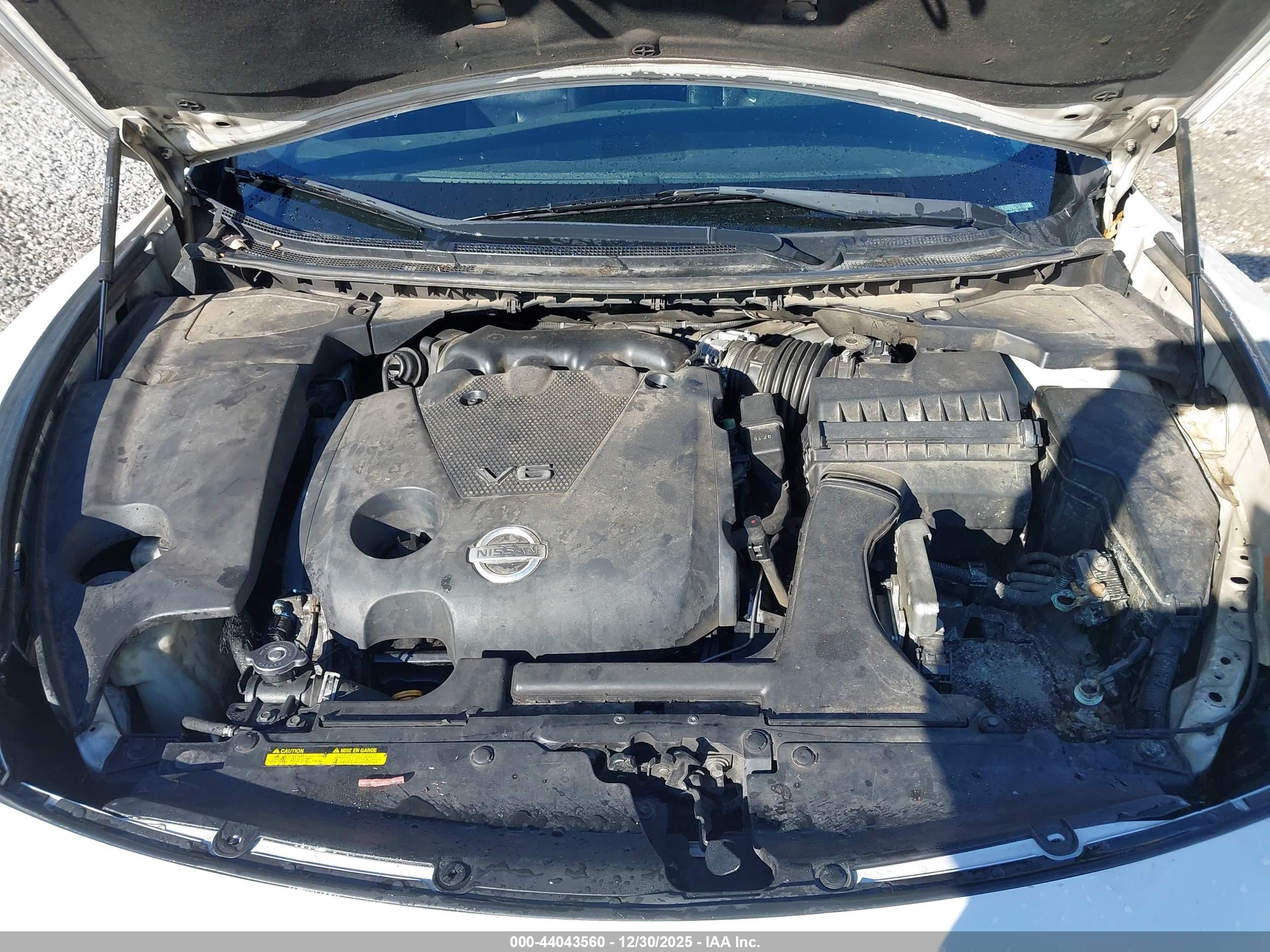 NISSAN MAXIMA image 10