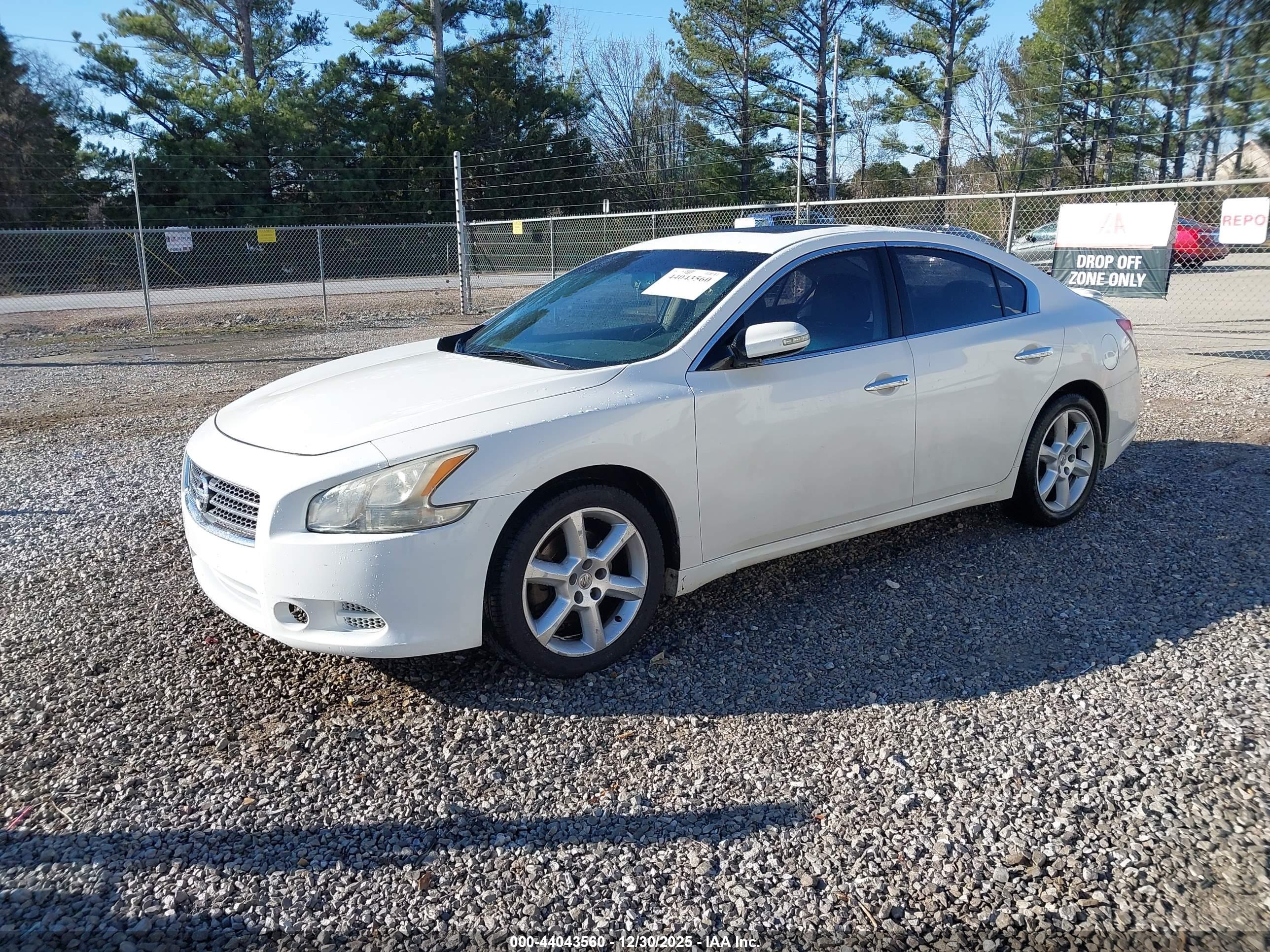NISSAN MAXIMA image 2