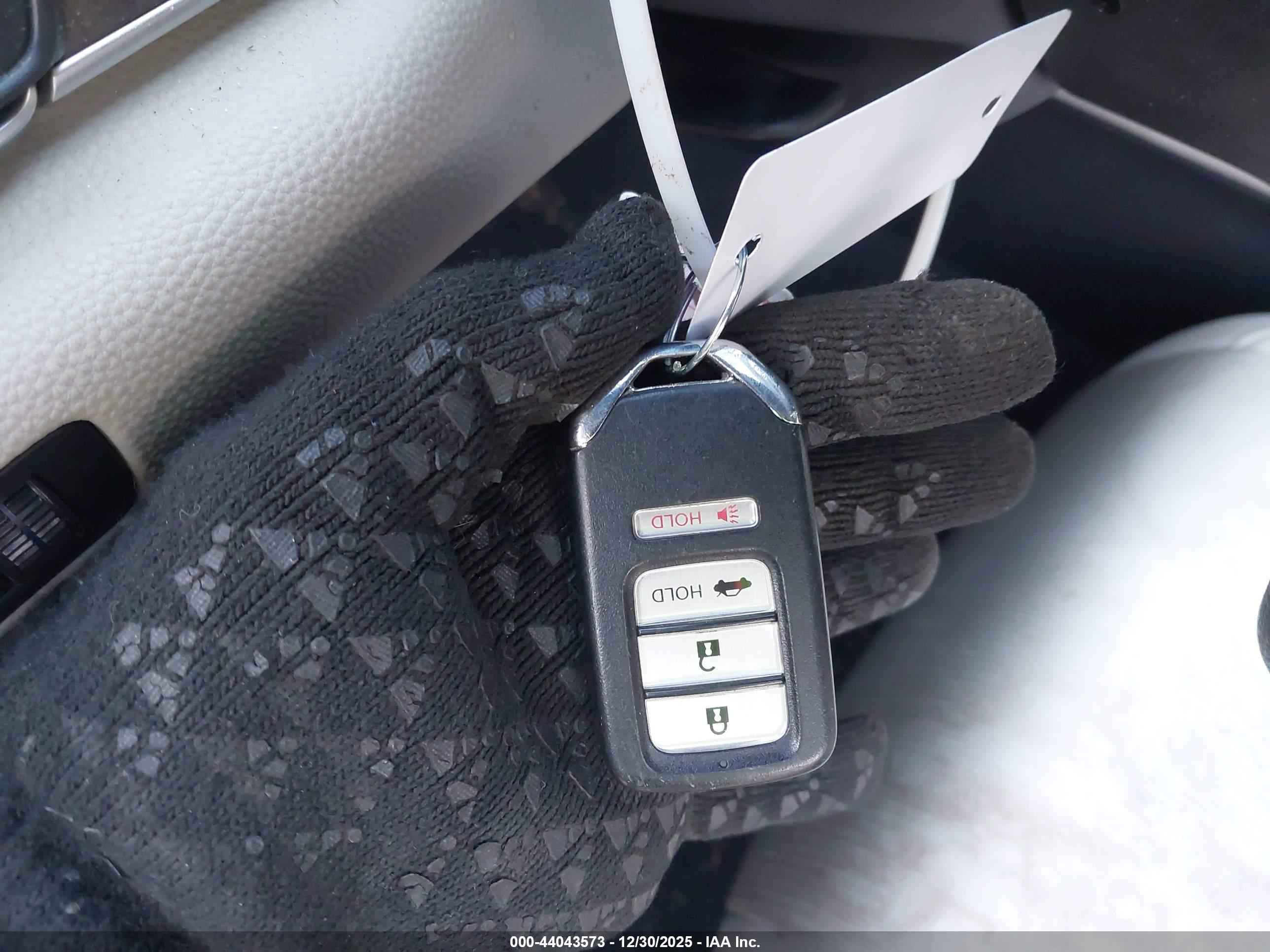 HONDA ACCORD image 11
