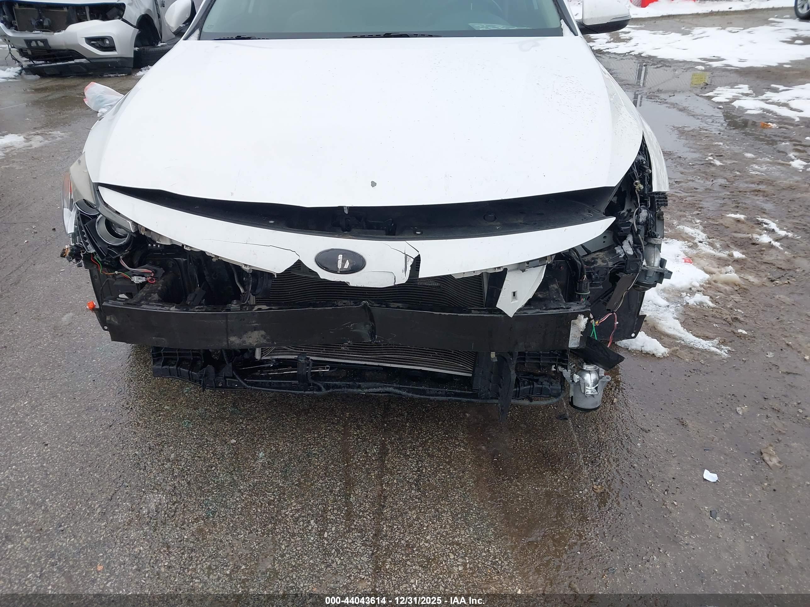 KIA OPTIMA image 6
