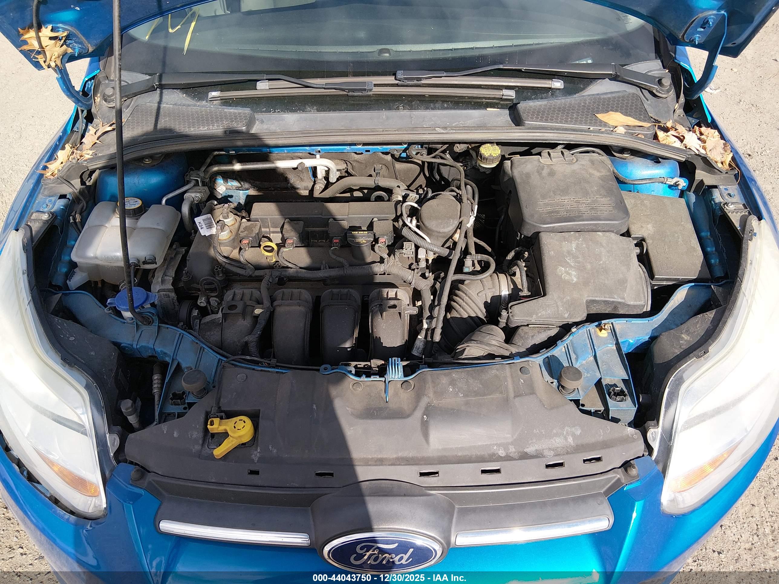 FORD FOCUS image 10