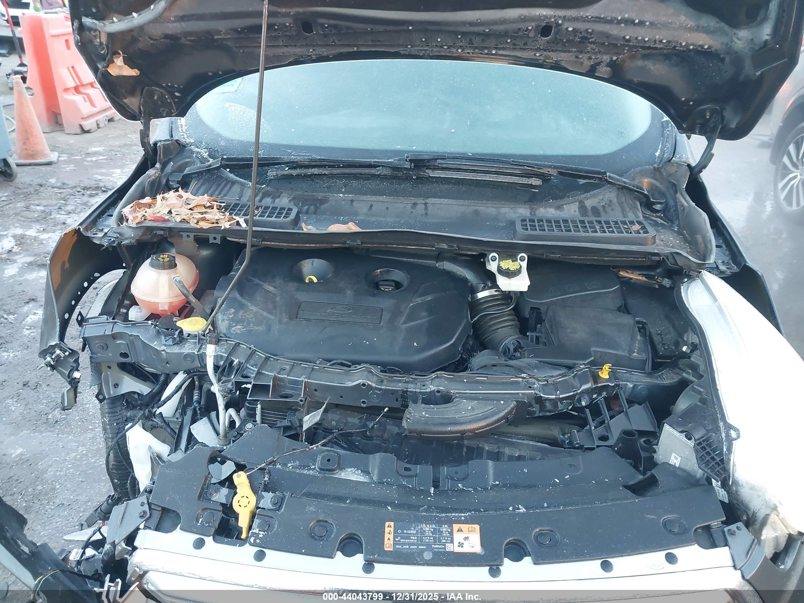 FORD ESCAPE image 10