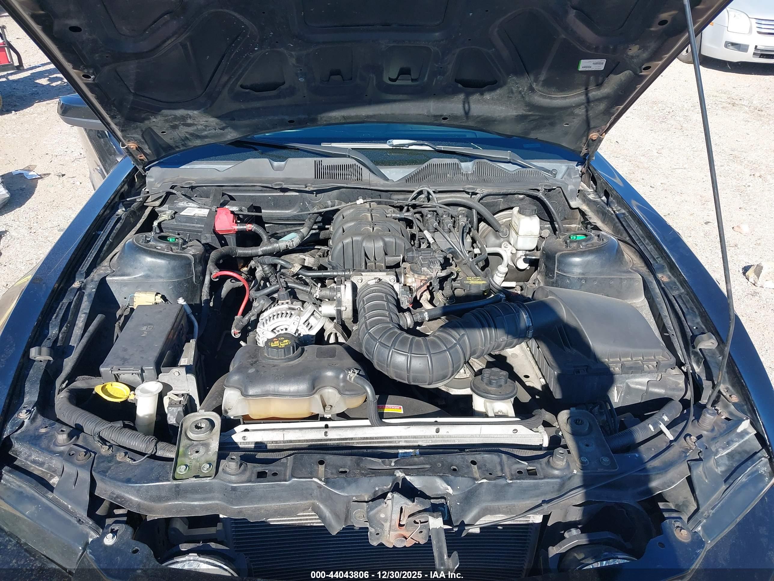 FORD MUSTANG image 10