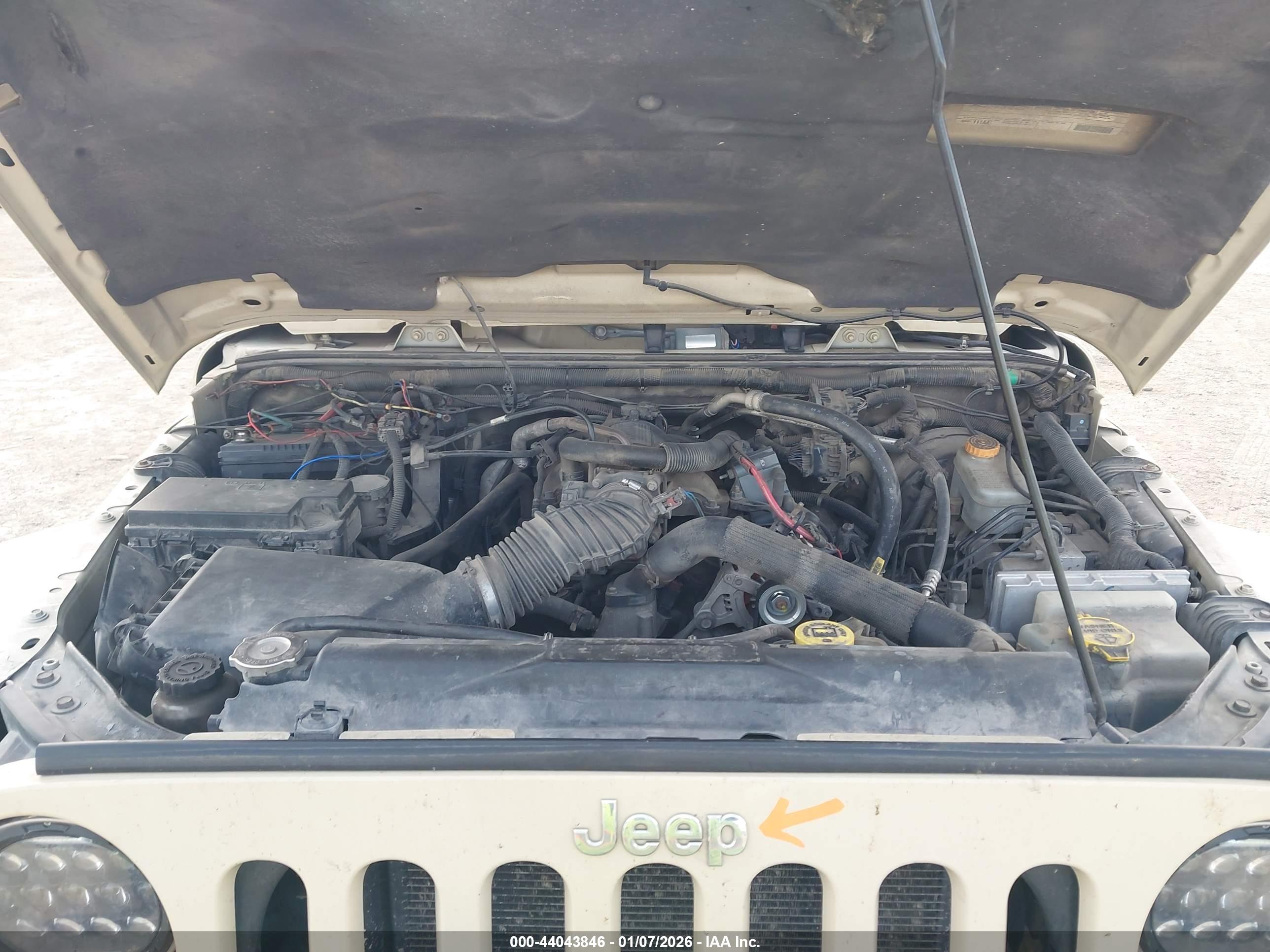JEEP WRANGLER image 10