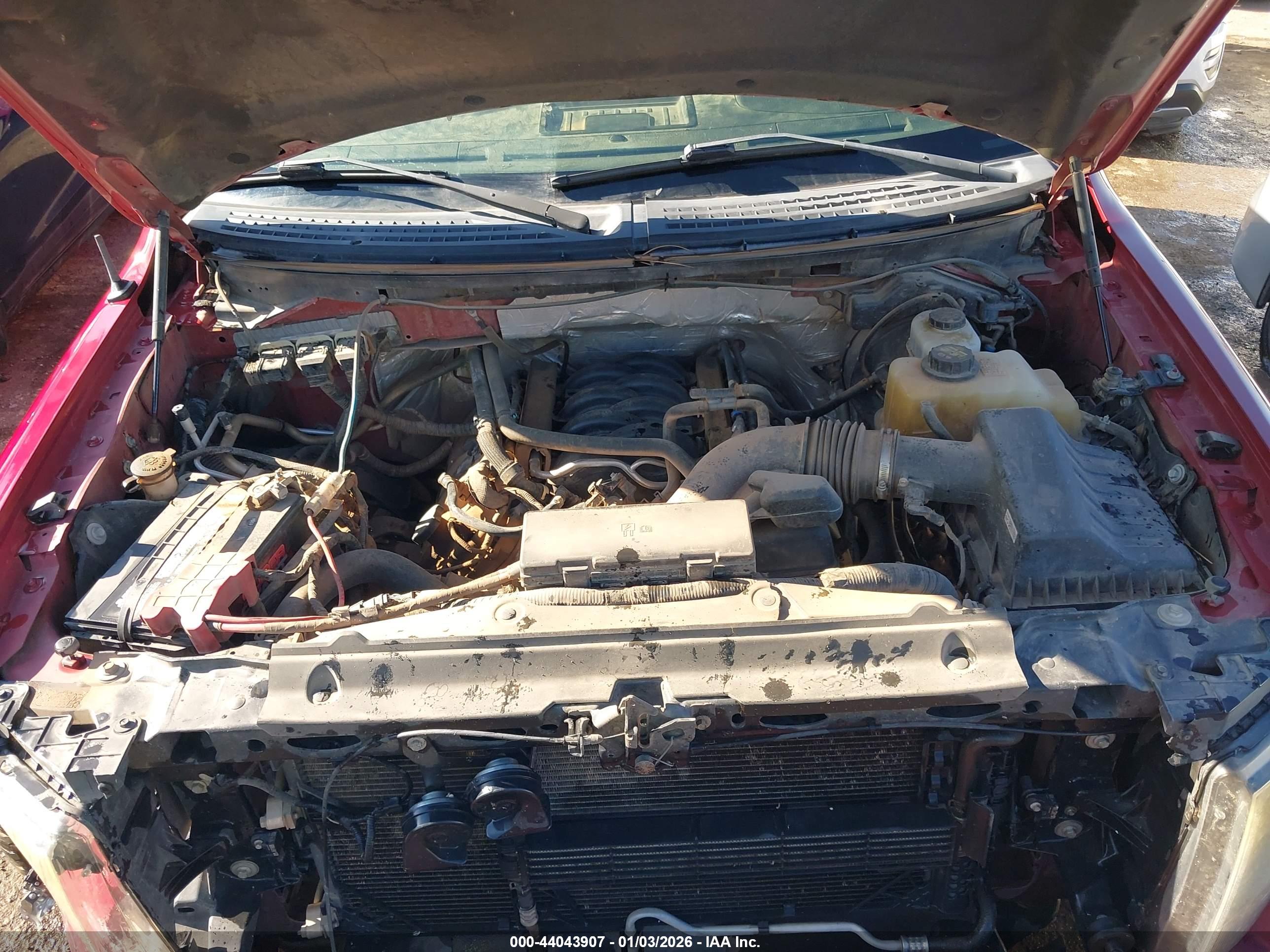 FORD F-150 image 10