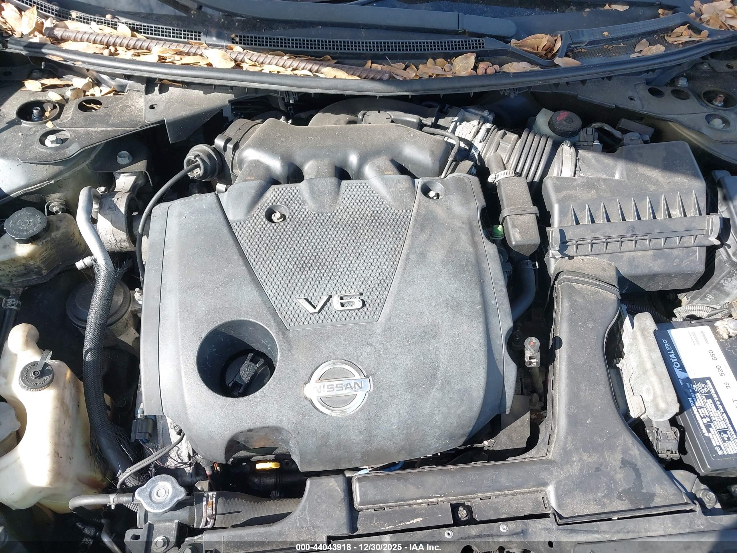 NISSAN MAXIMA image 10