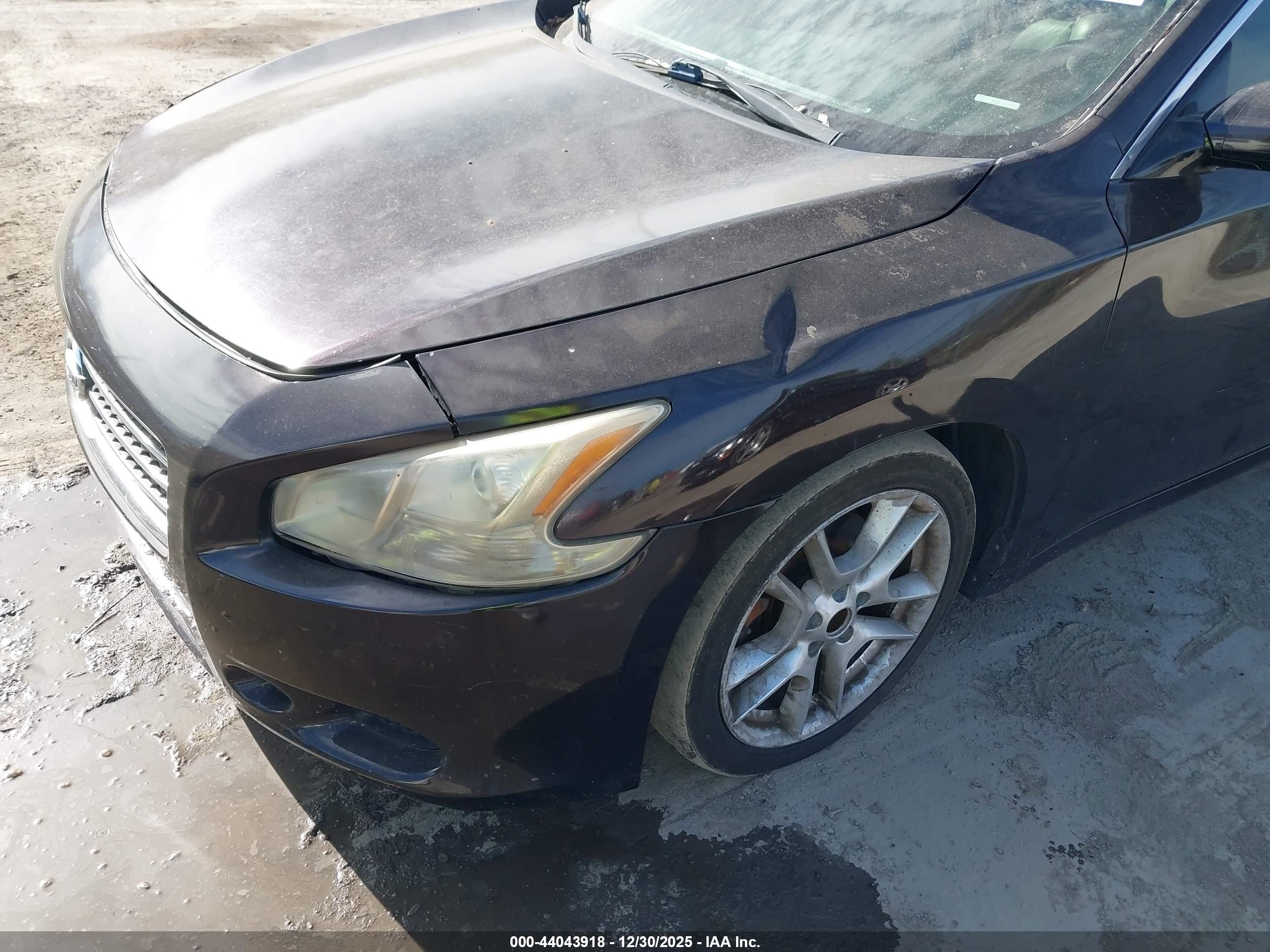 NISSAN MAXIMA image 6