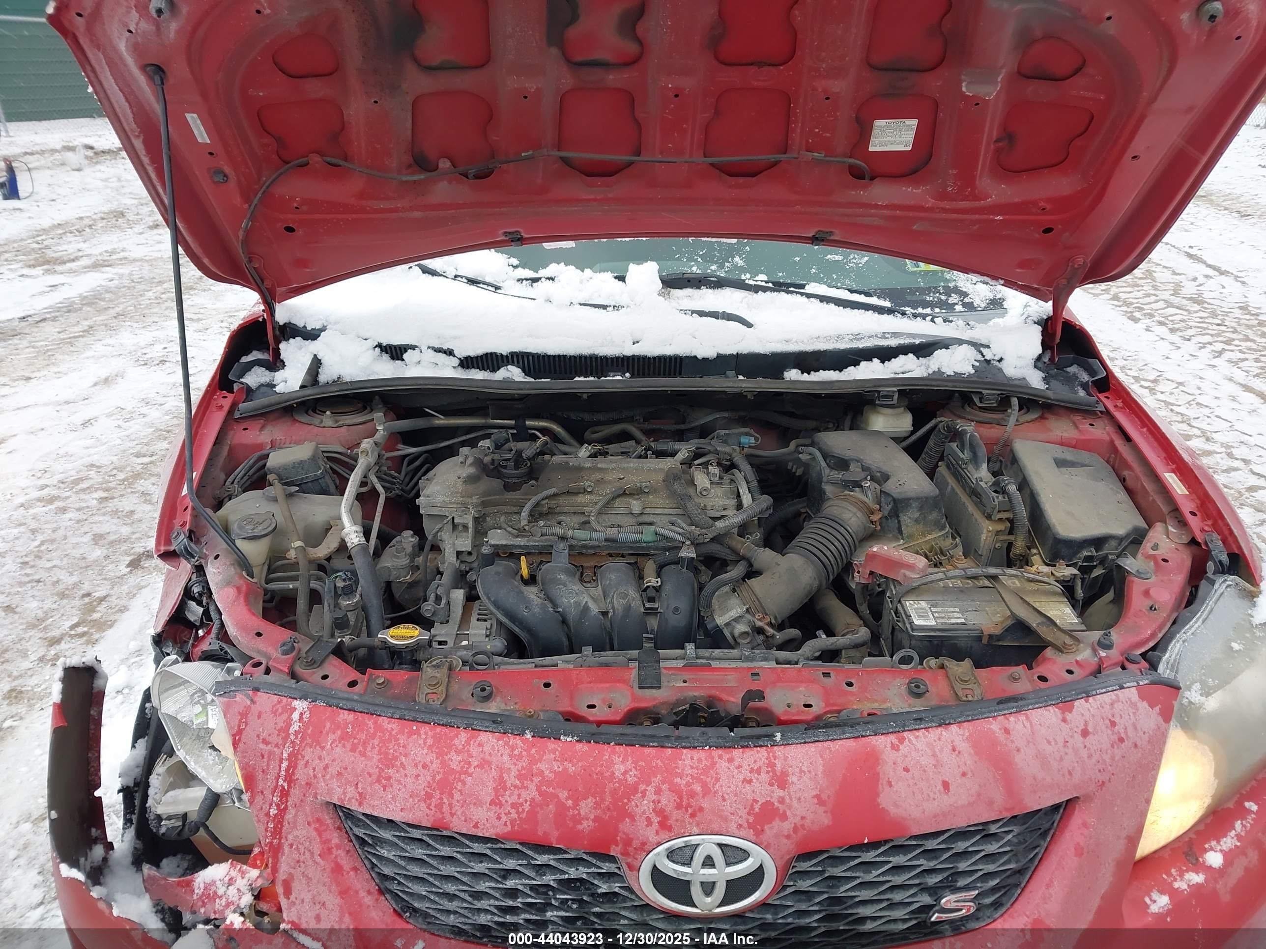 TOYOTA COROLLA image 10