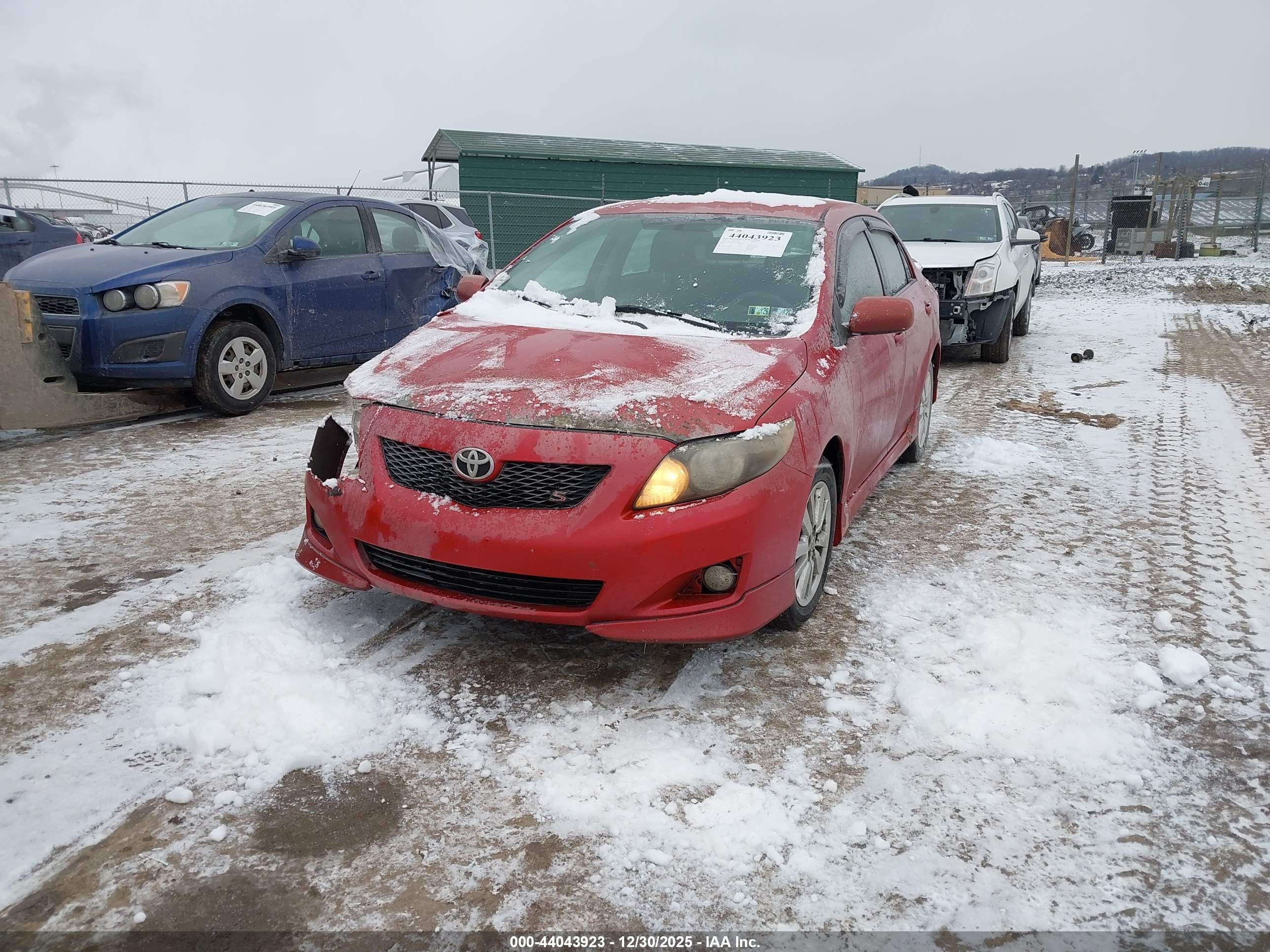 TOYOTA COROLLA image 2
