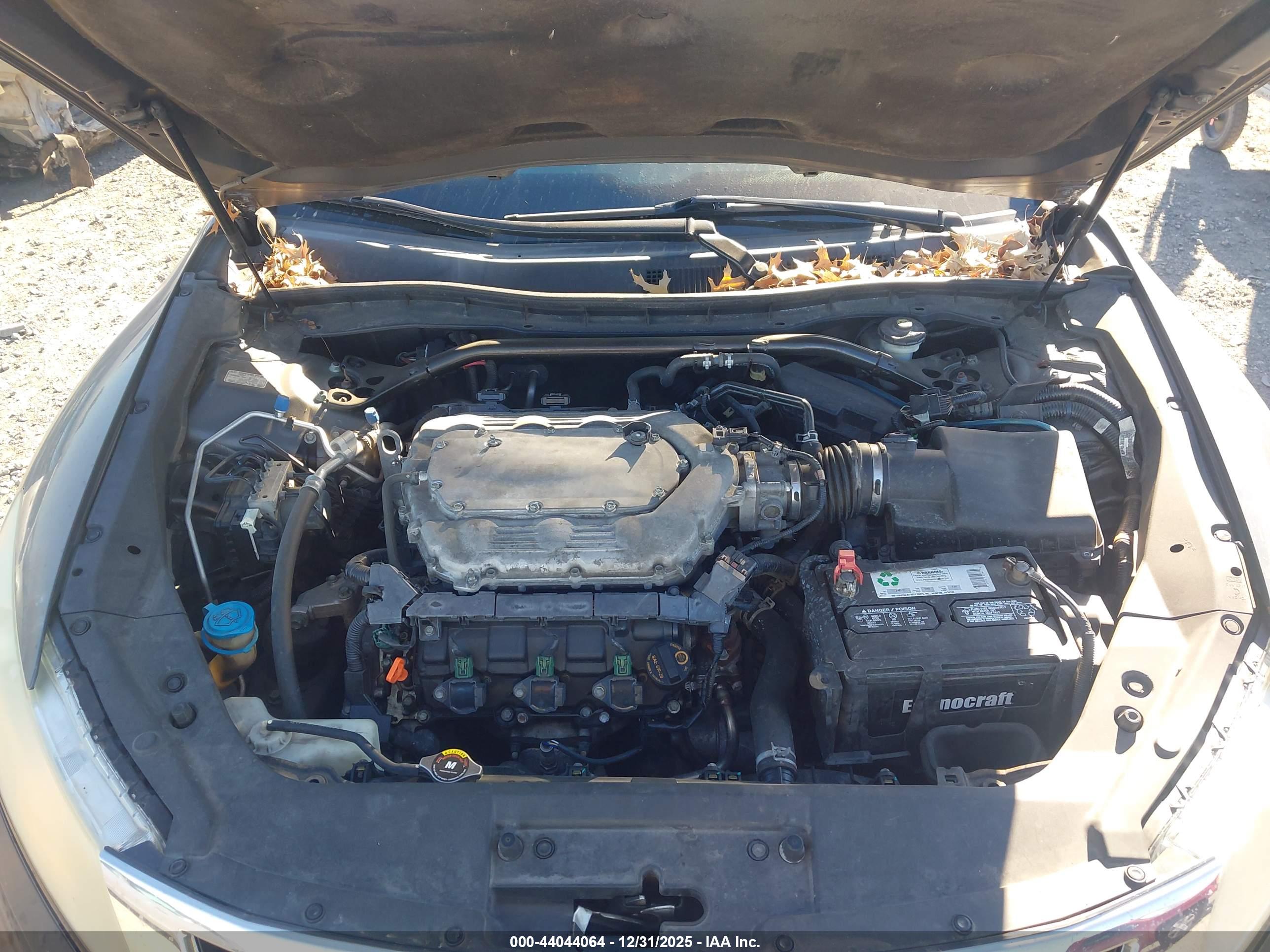 HONDA CROSSTOUR image 10