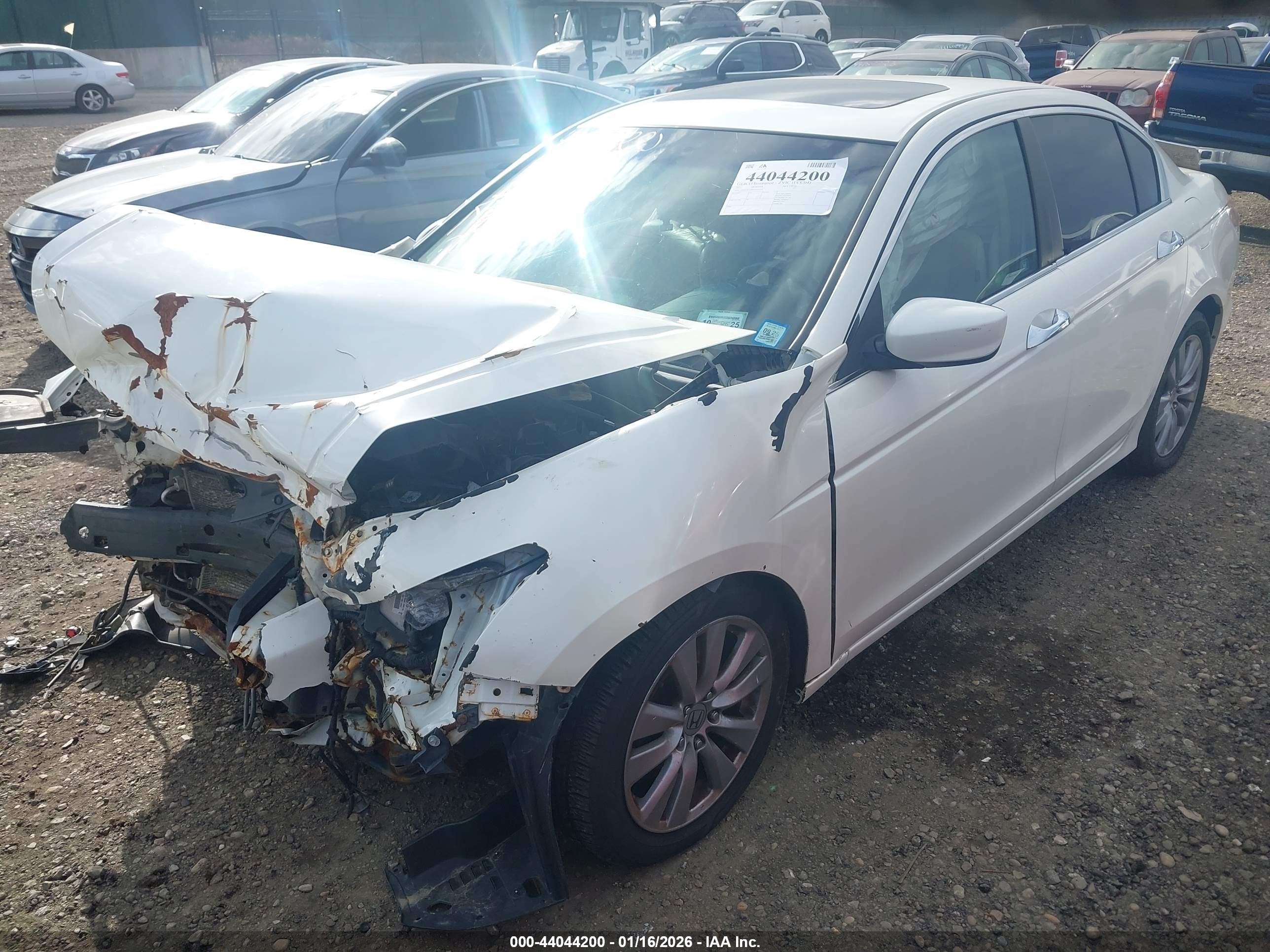 HONDA ACCORD image 2