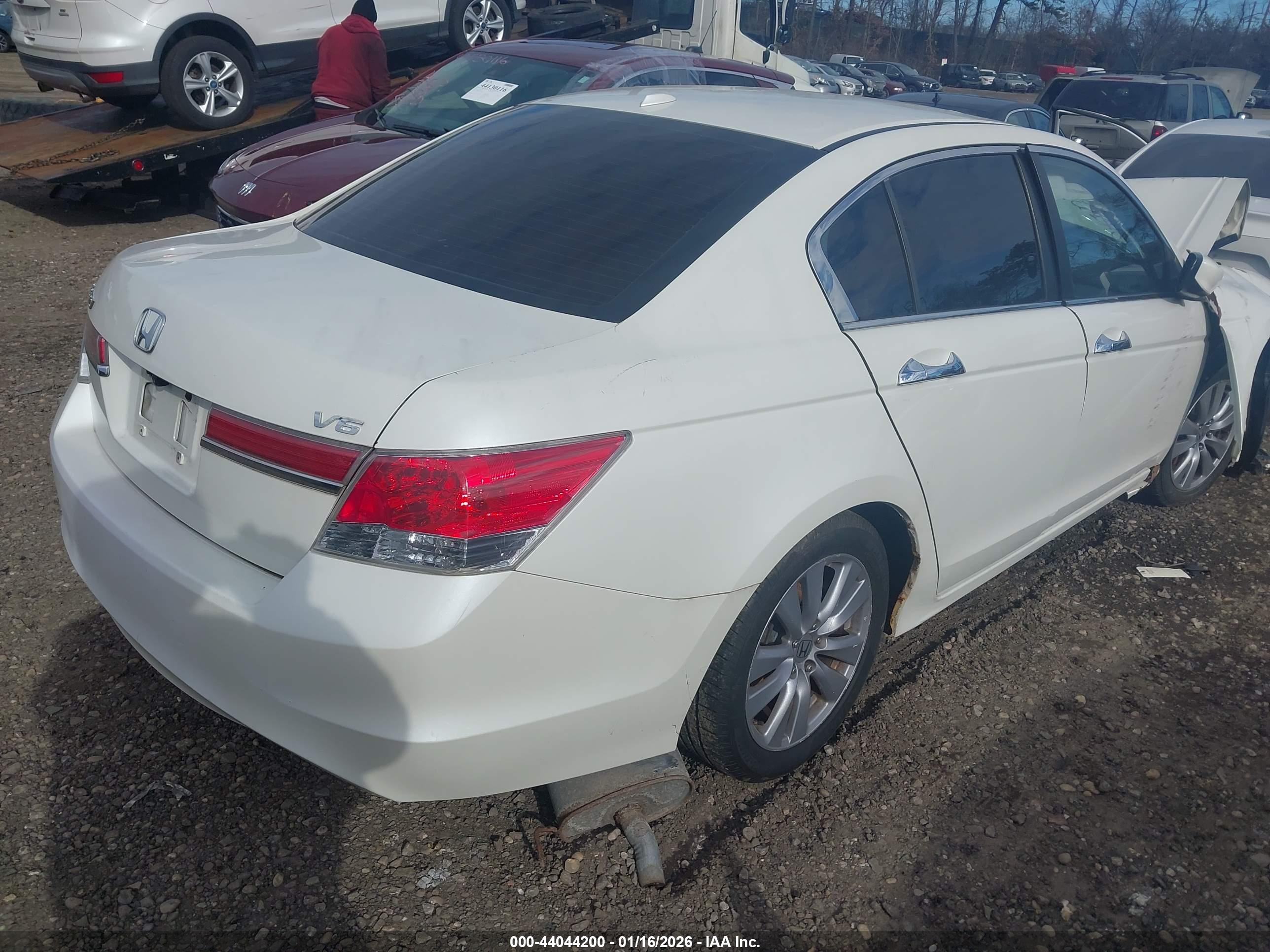 HONDA ACCORD image 4