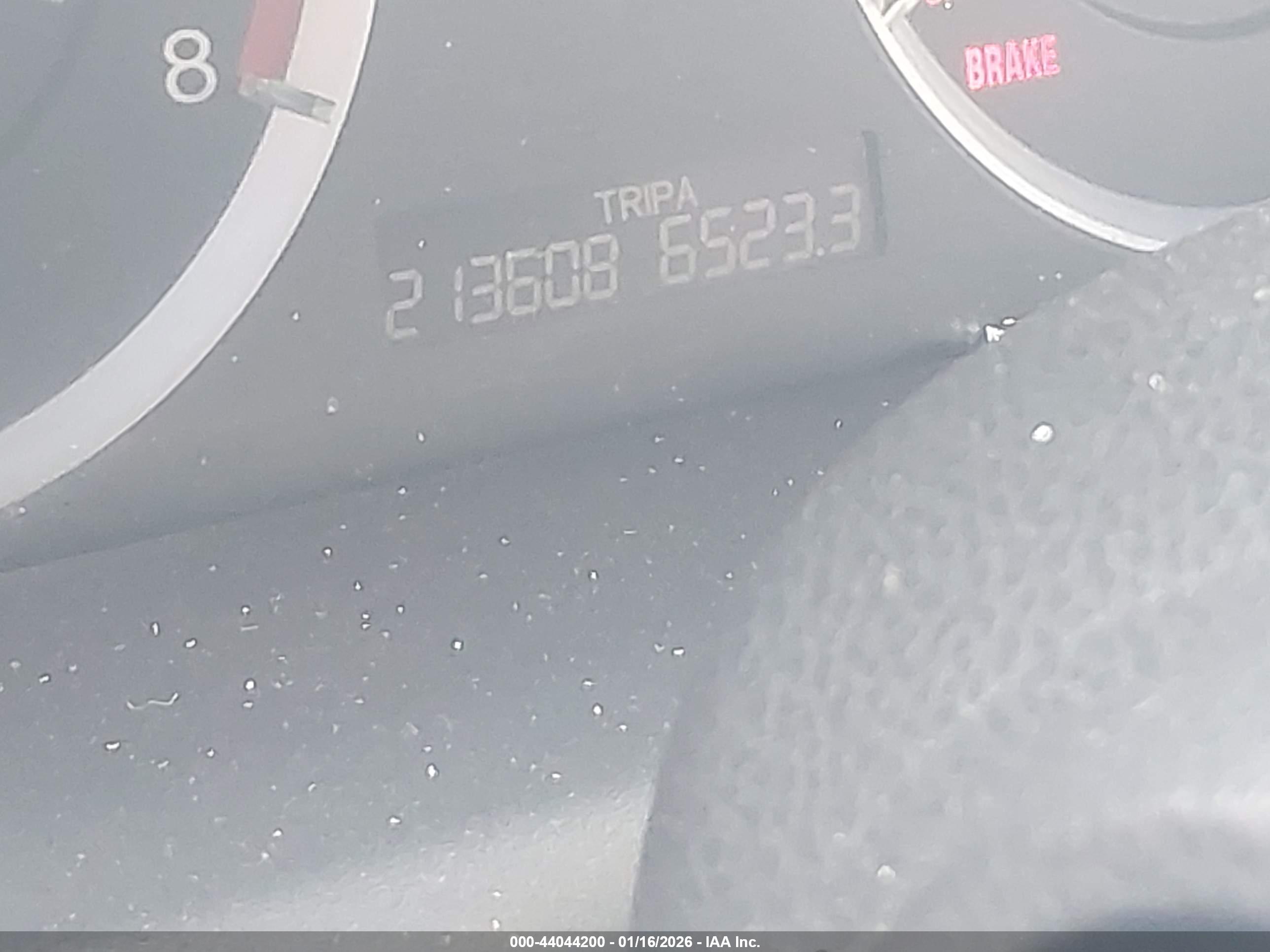HONDA ACCORD image 7
