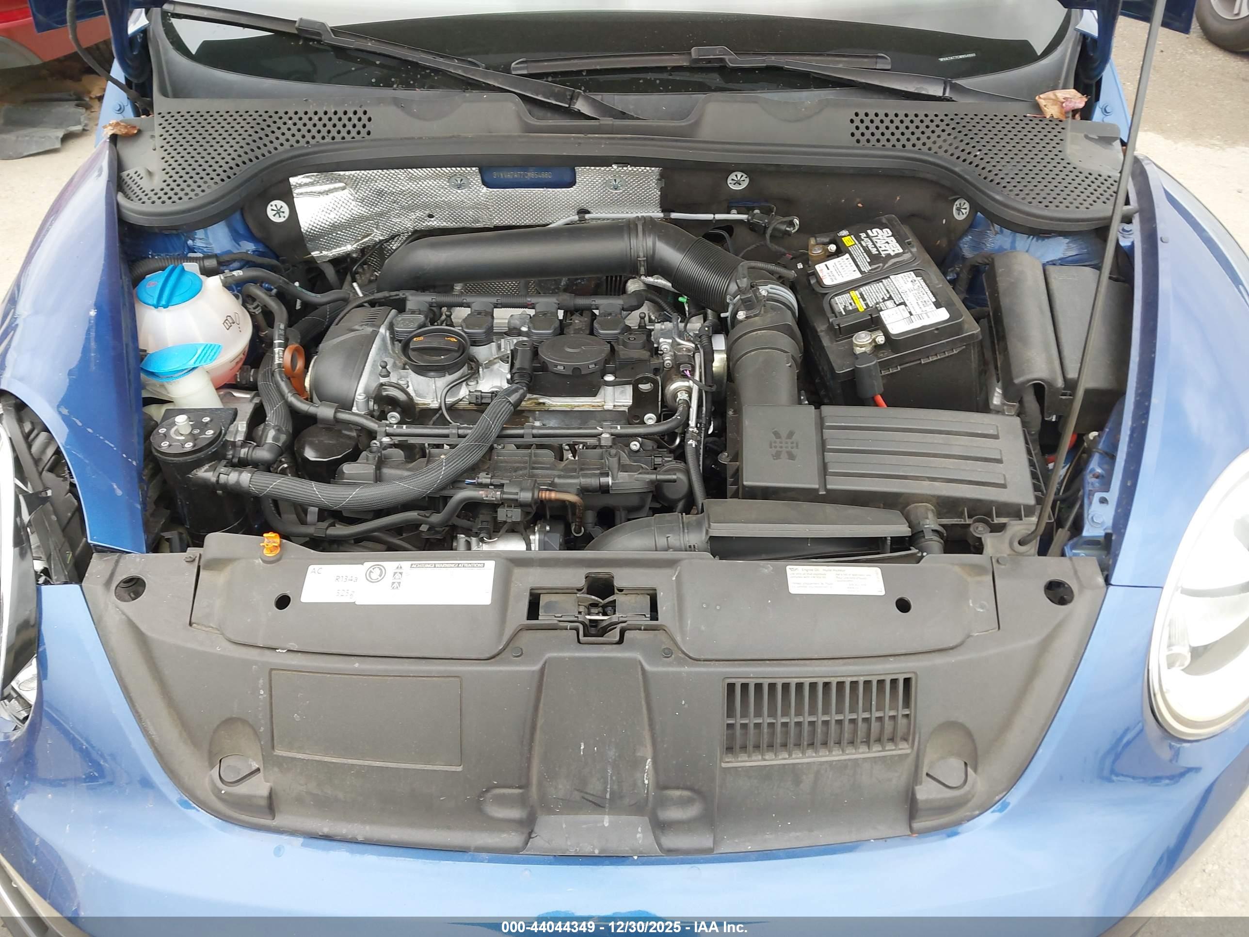 VOLKSWAGEN BEETLE image 10