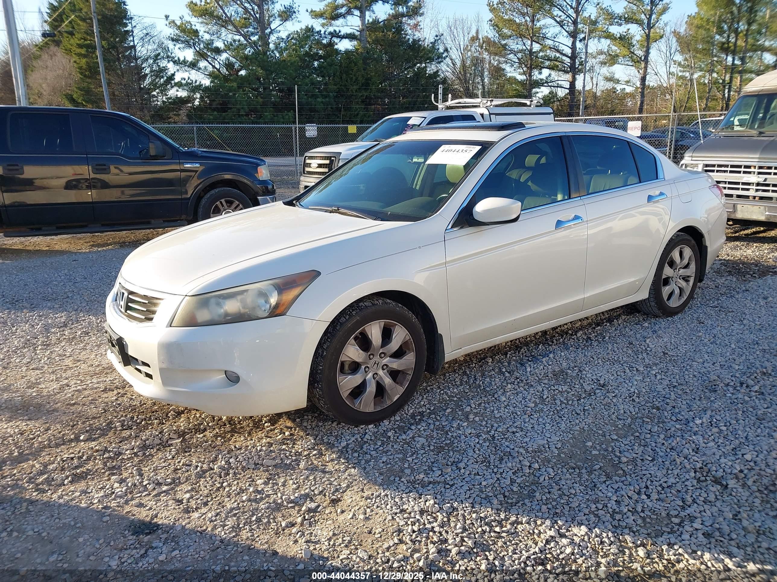 HONDA ACCORD image 2