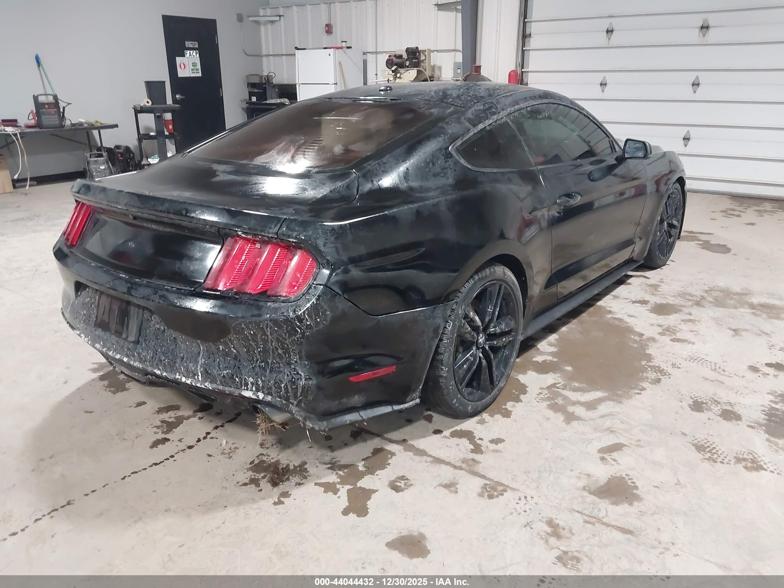 FORD MUSTANG image 4