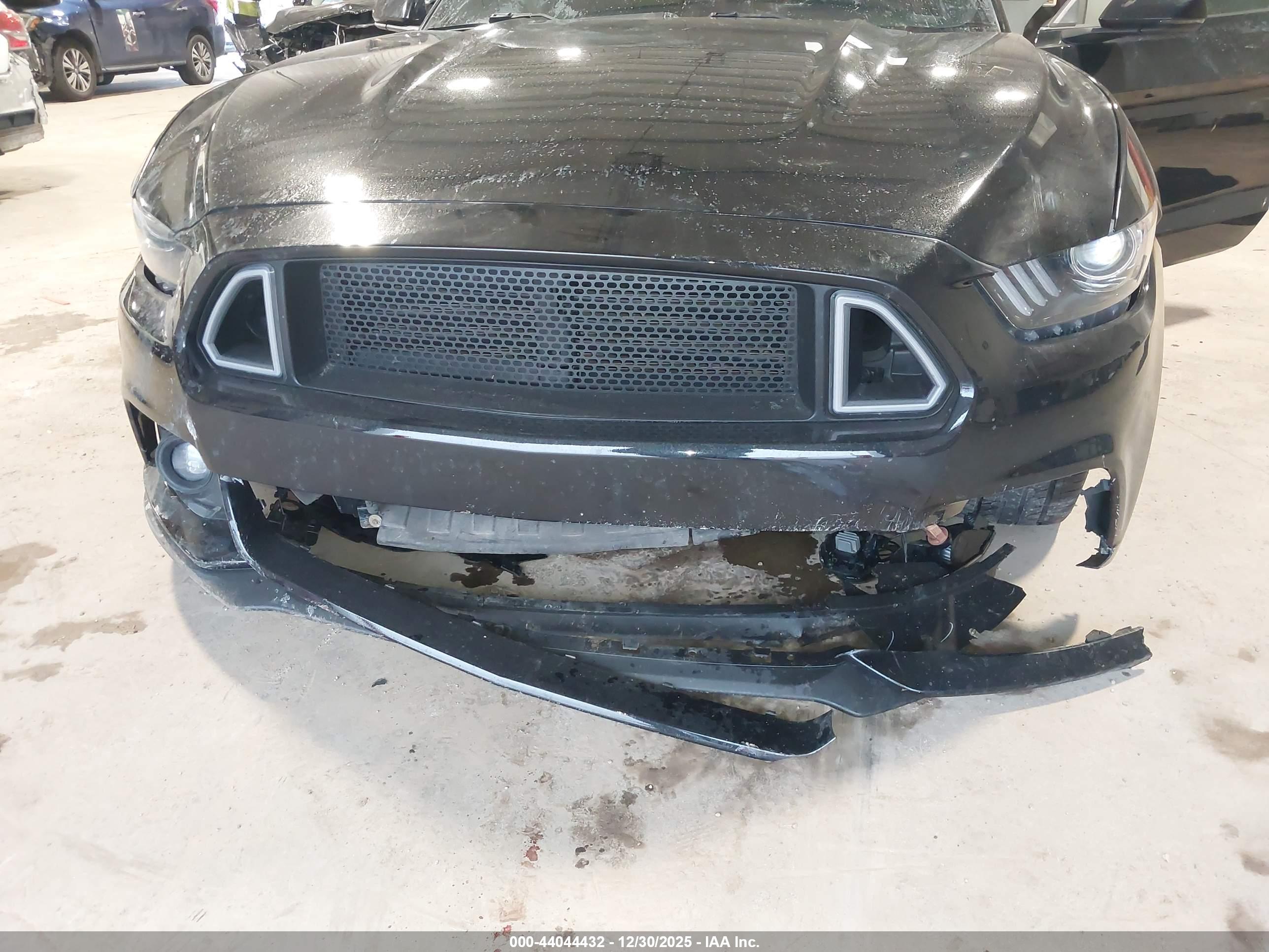 FORD MUSTANG image 6