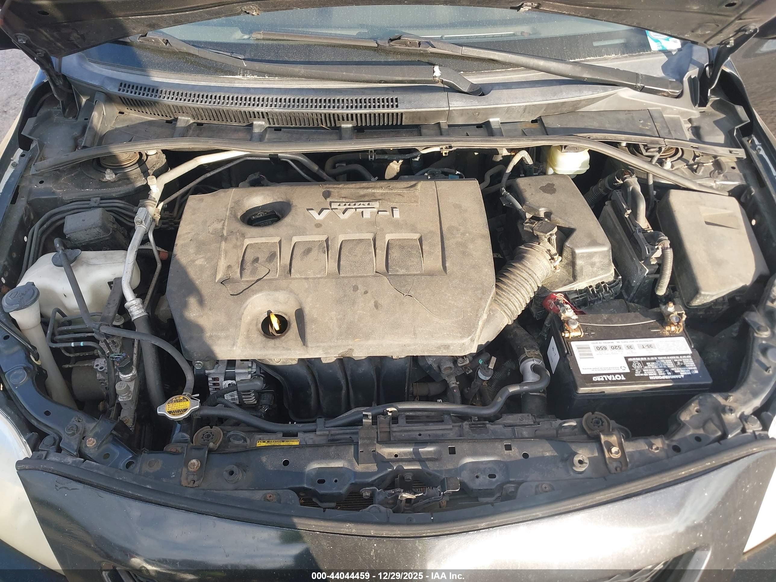 TOYOTA COROLLA image 10