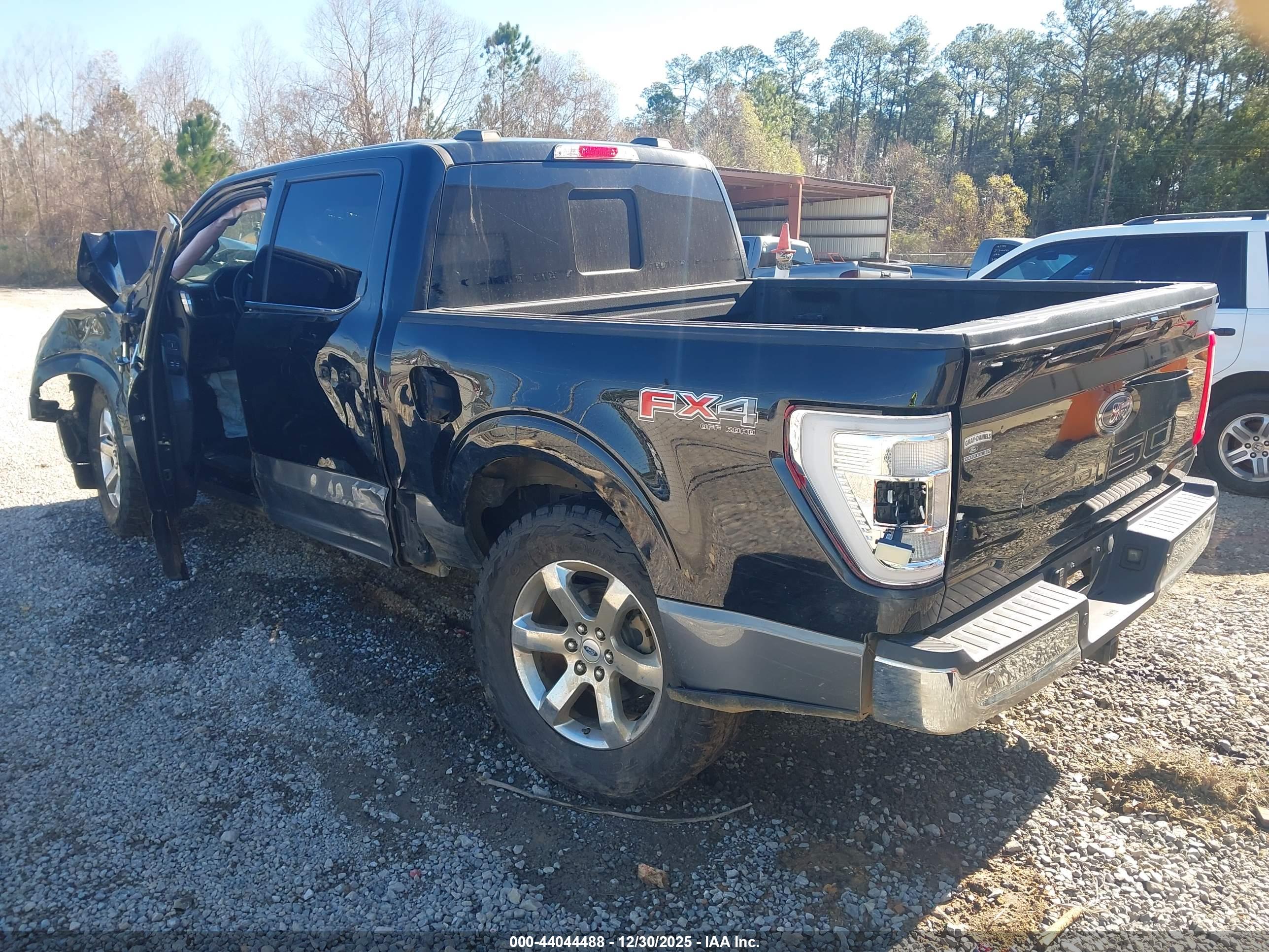 FORD F-150 image 3