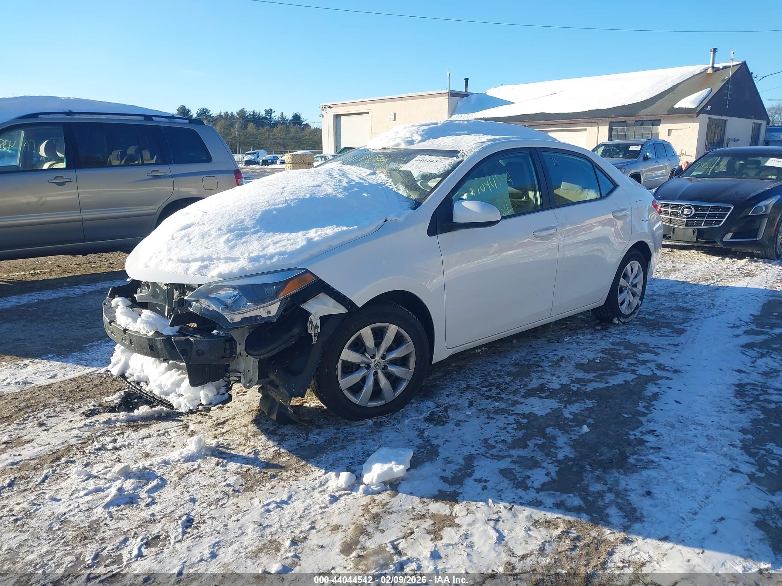 TOYOTA COROLLA image 2