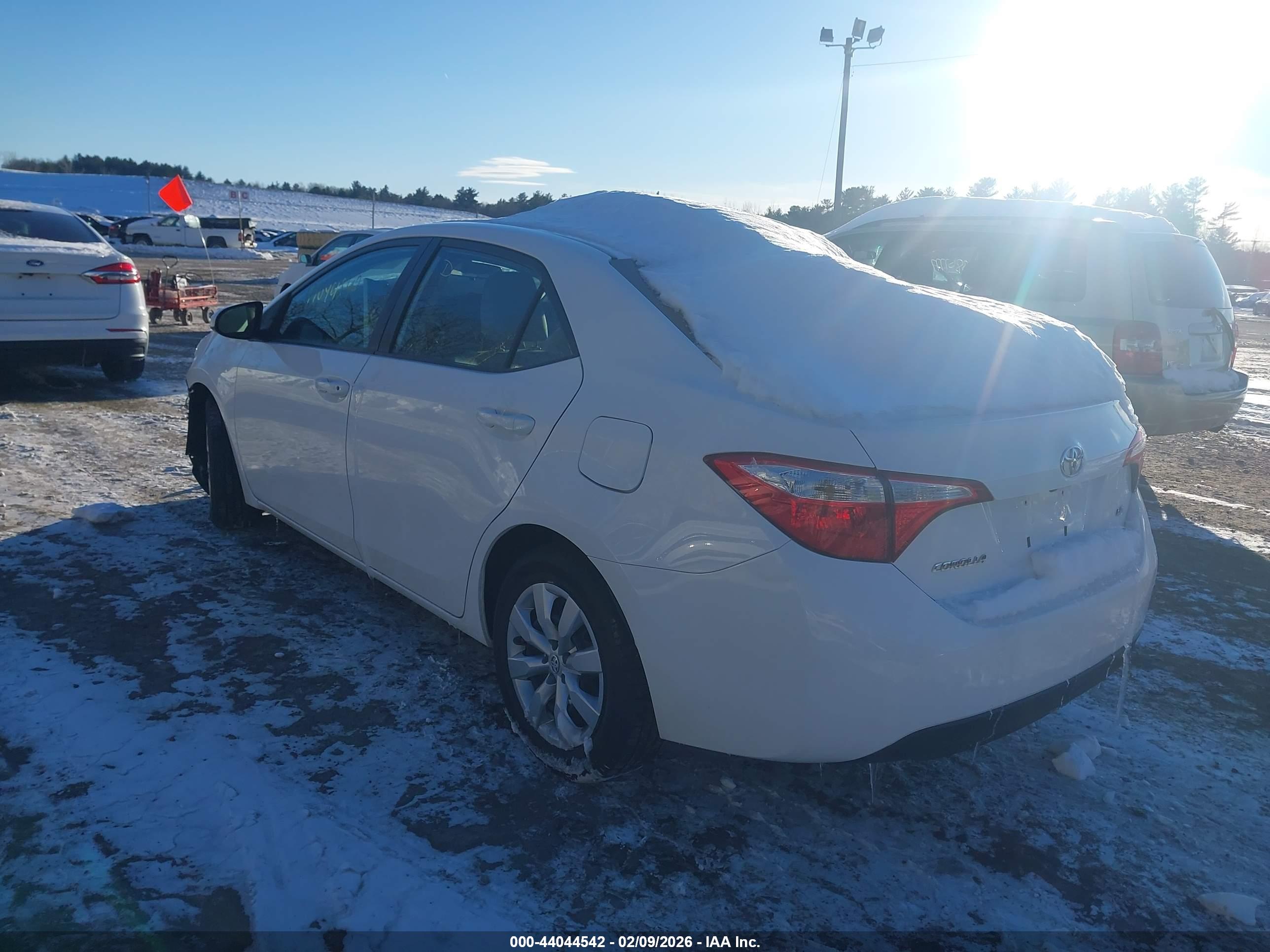 TOYOTA COROLLA image 3