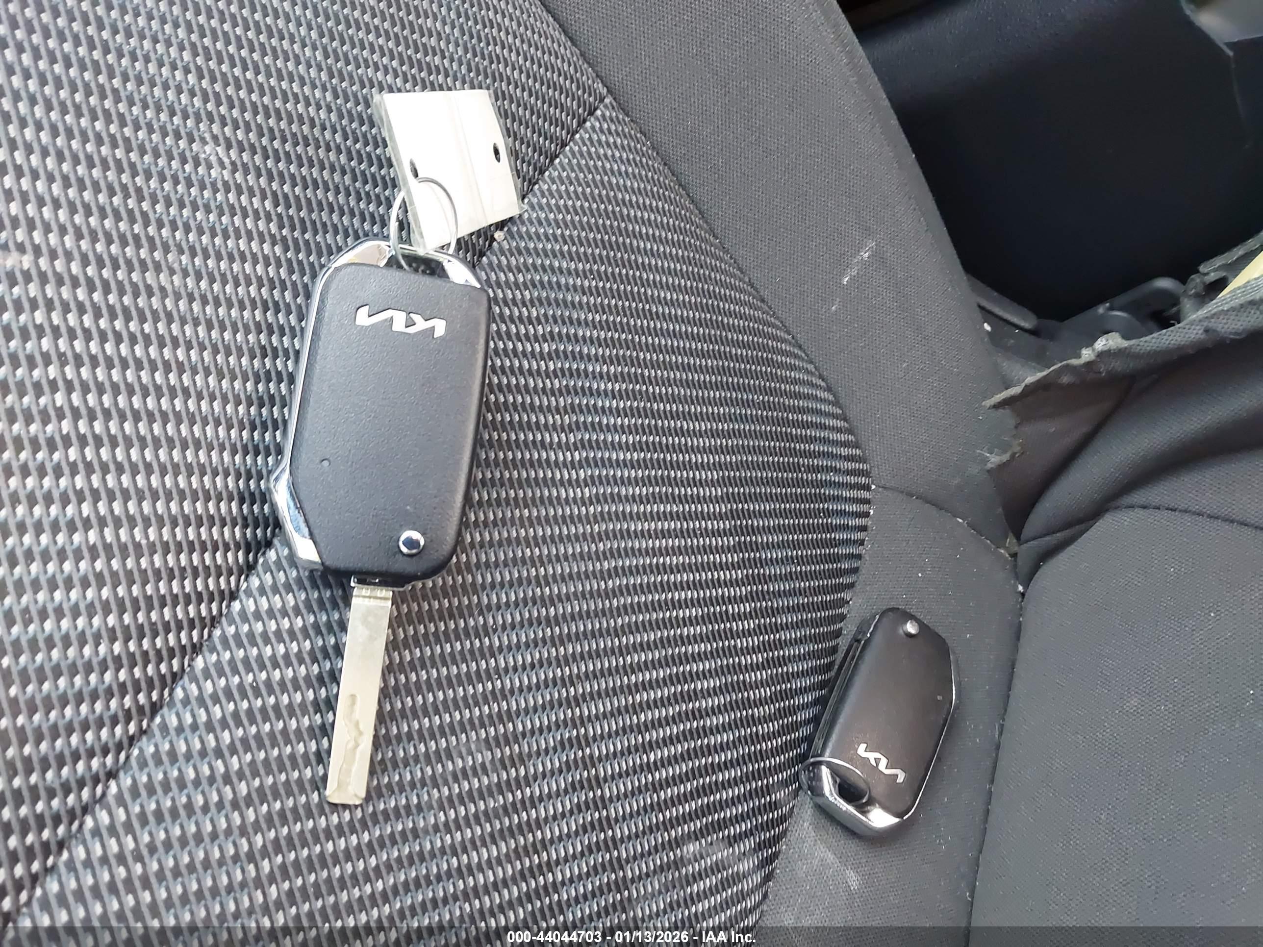 KIA SELTOS image 11