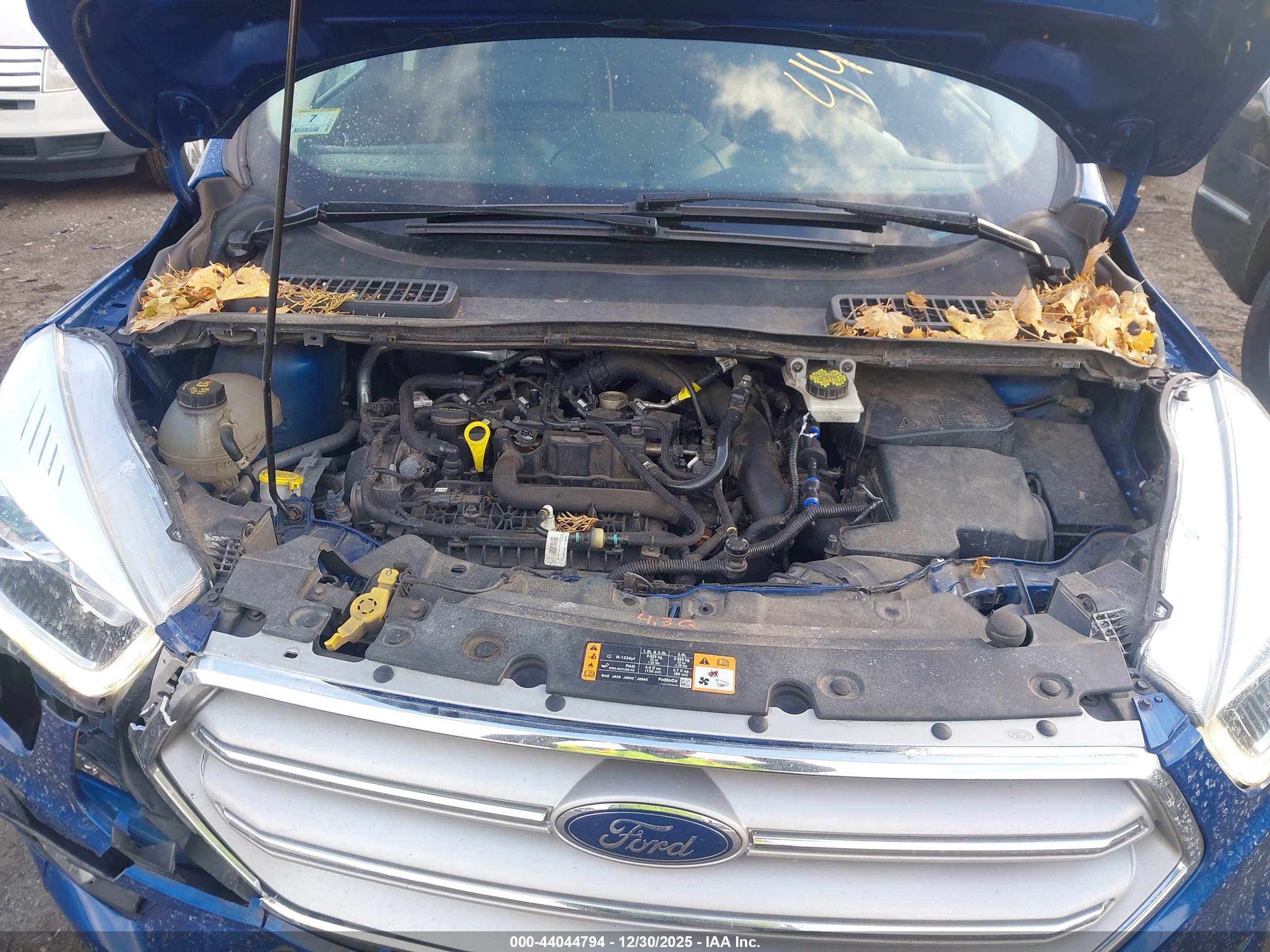 FORD ESCAPE image 10