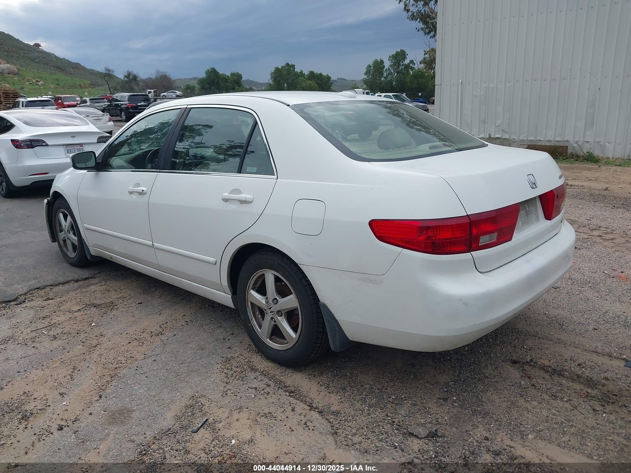 HONDA ACCORD image 3