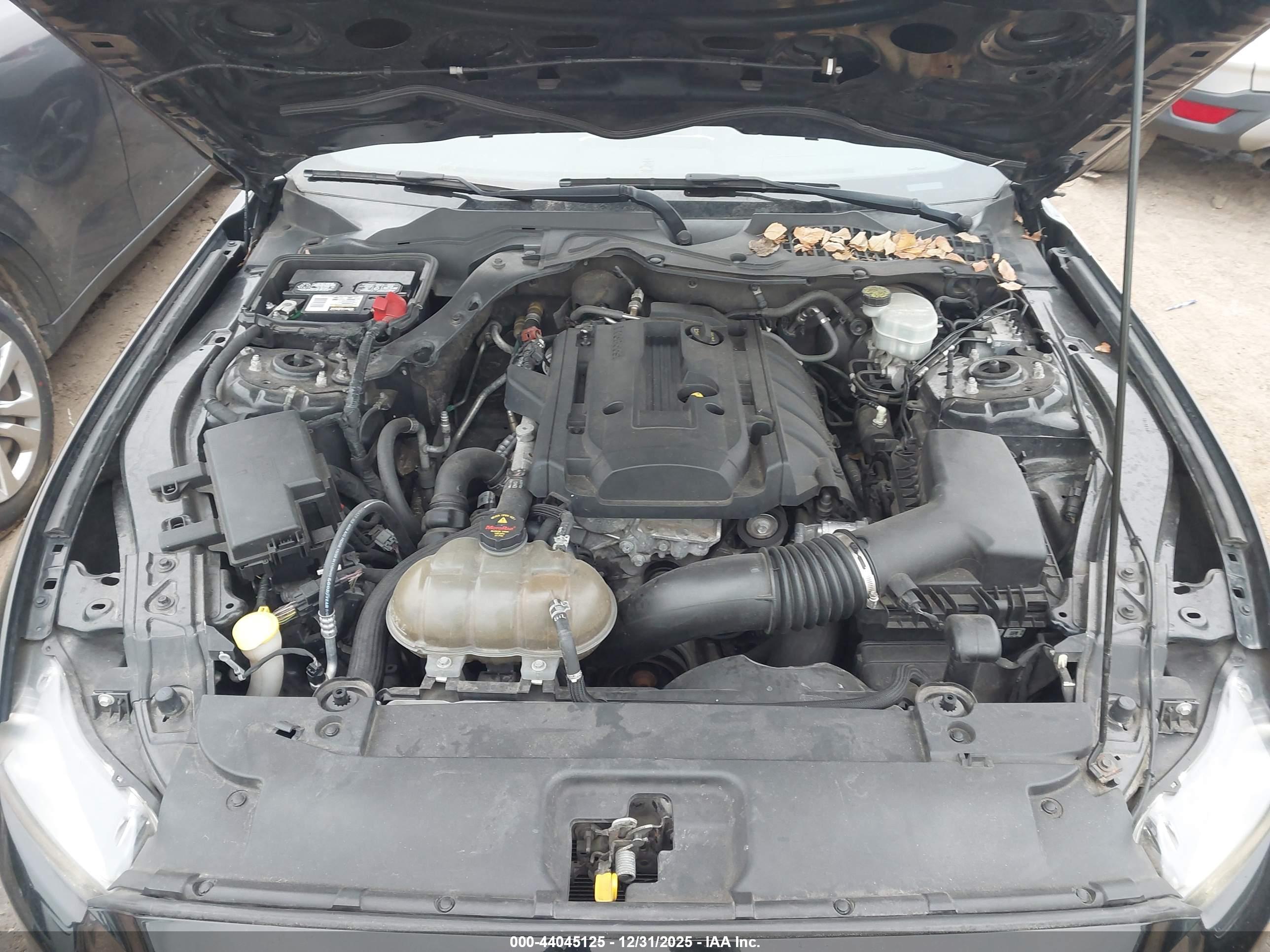 FORD MUSTANG image 10
