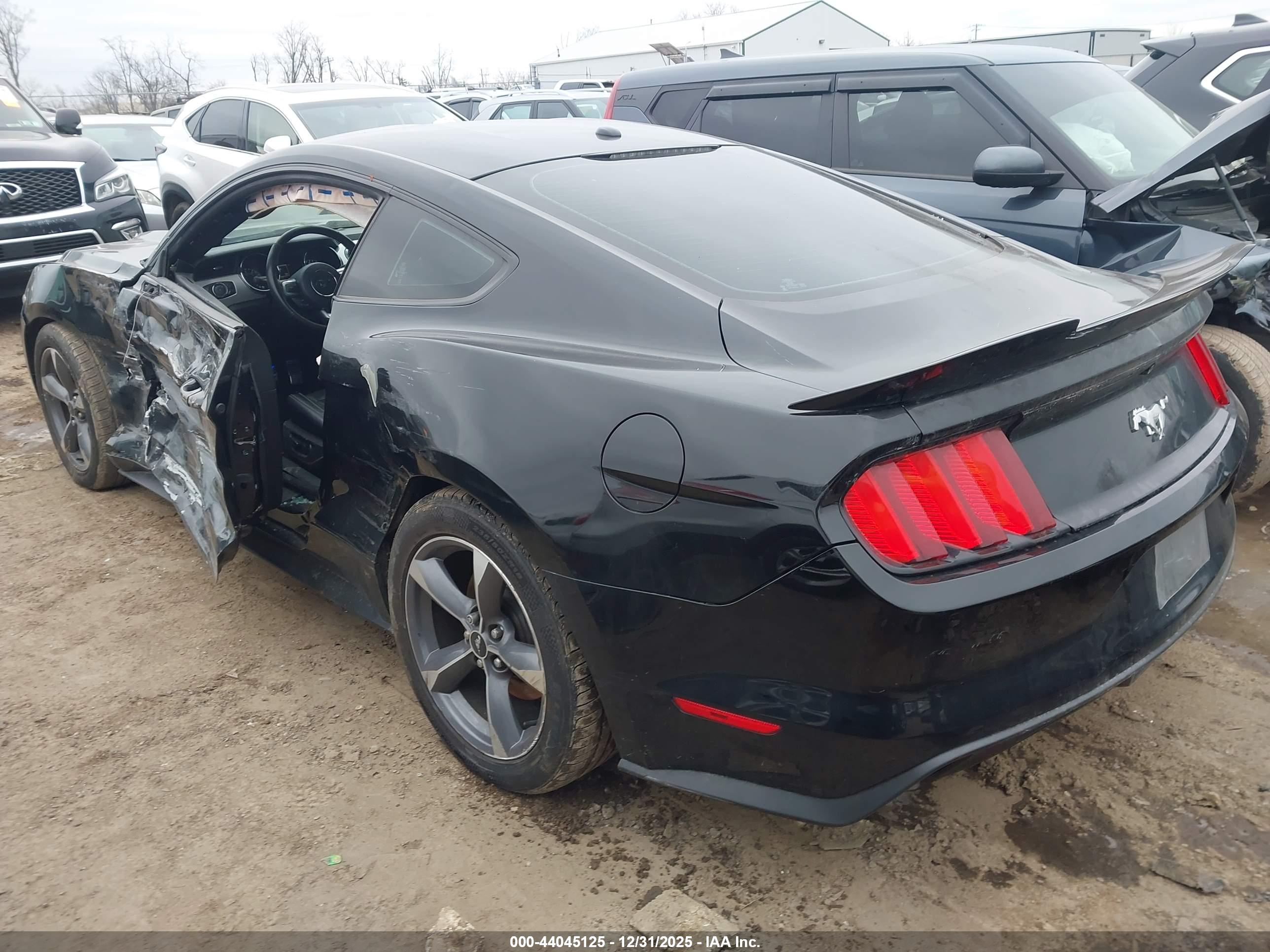 FORD MUSTANG image 3