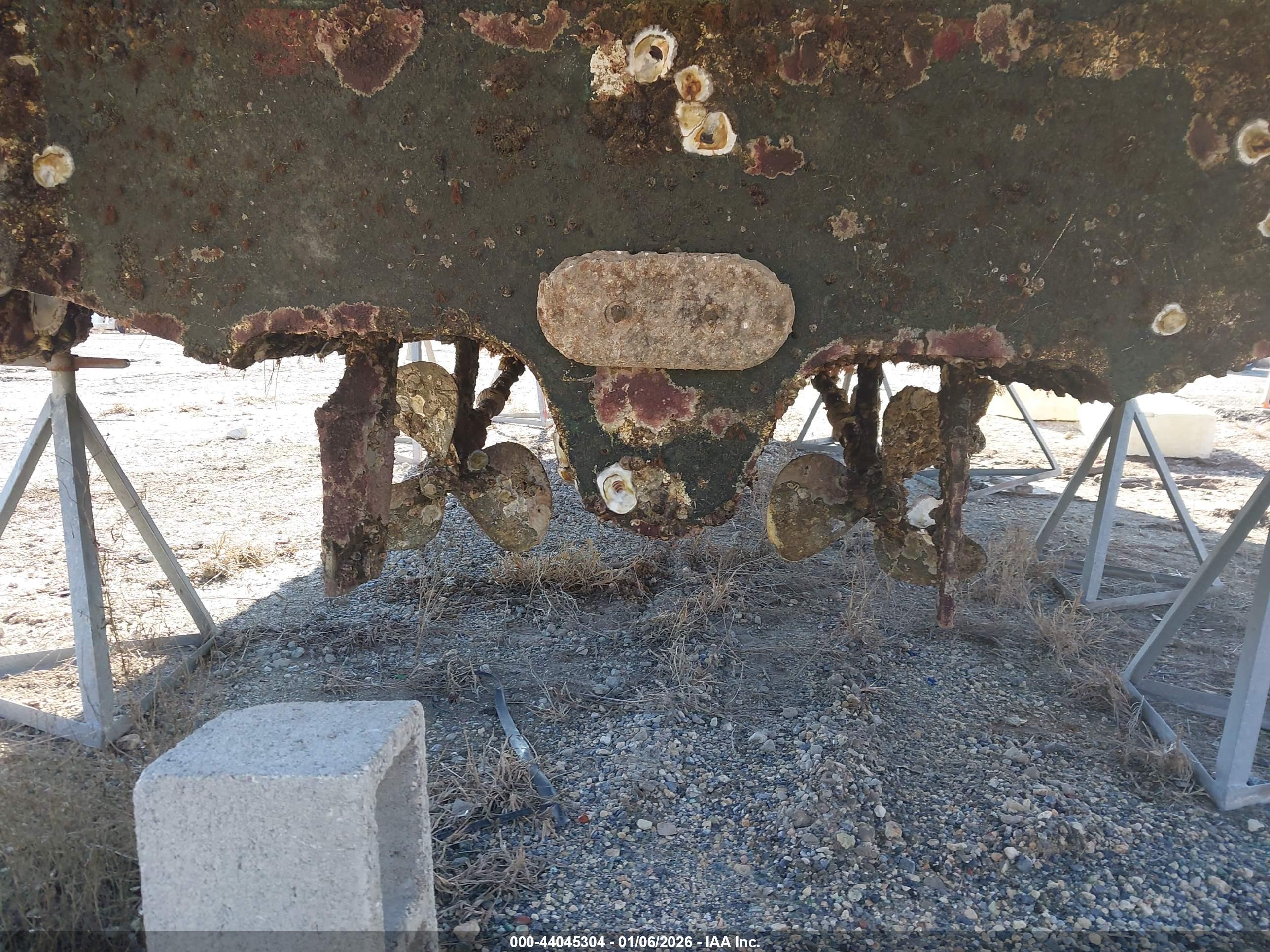 SEA RAY image 10